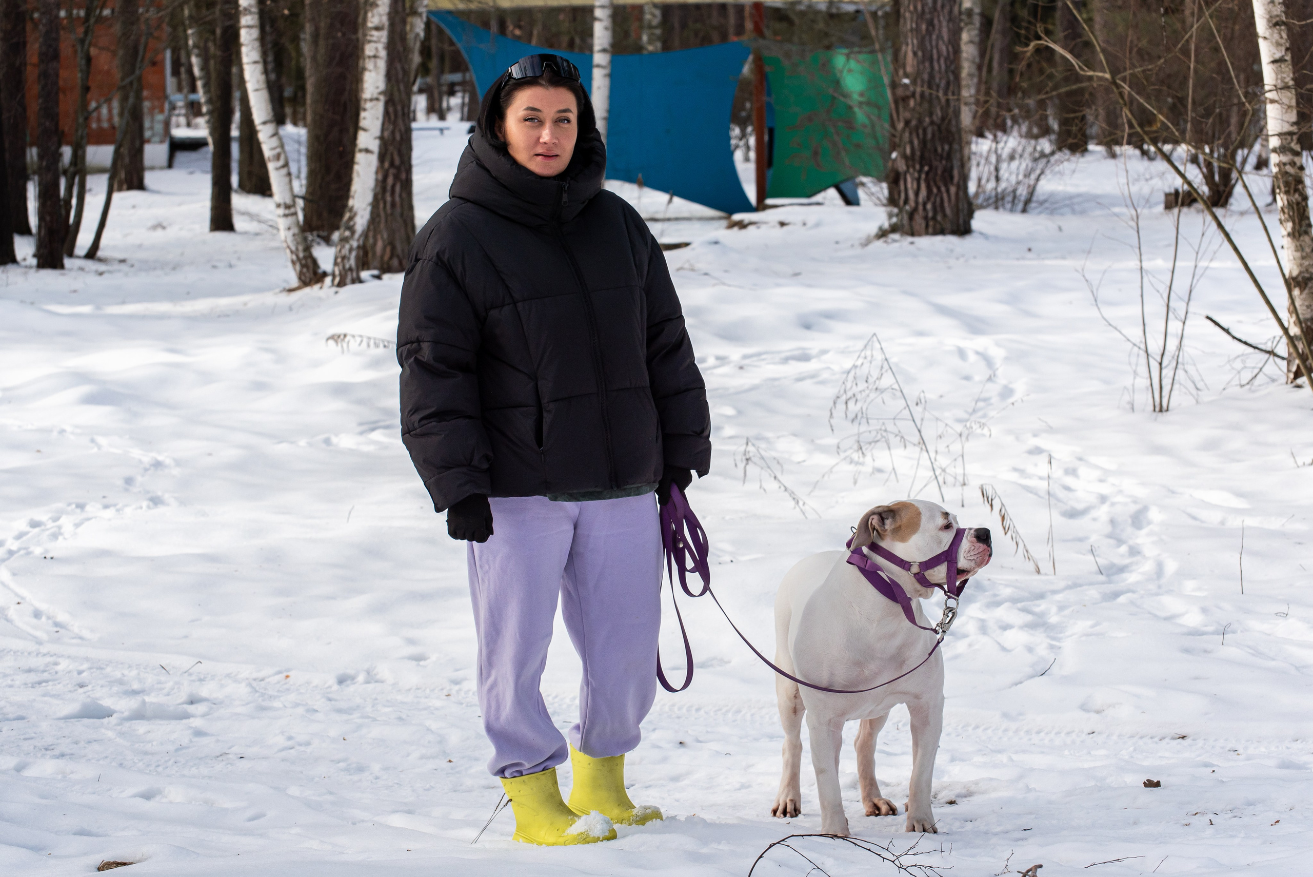 Фотосъёмка с собаками в Кинологическом лагере. Фотограф Макс Огурцов в Нижнем Новгороде