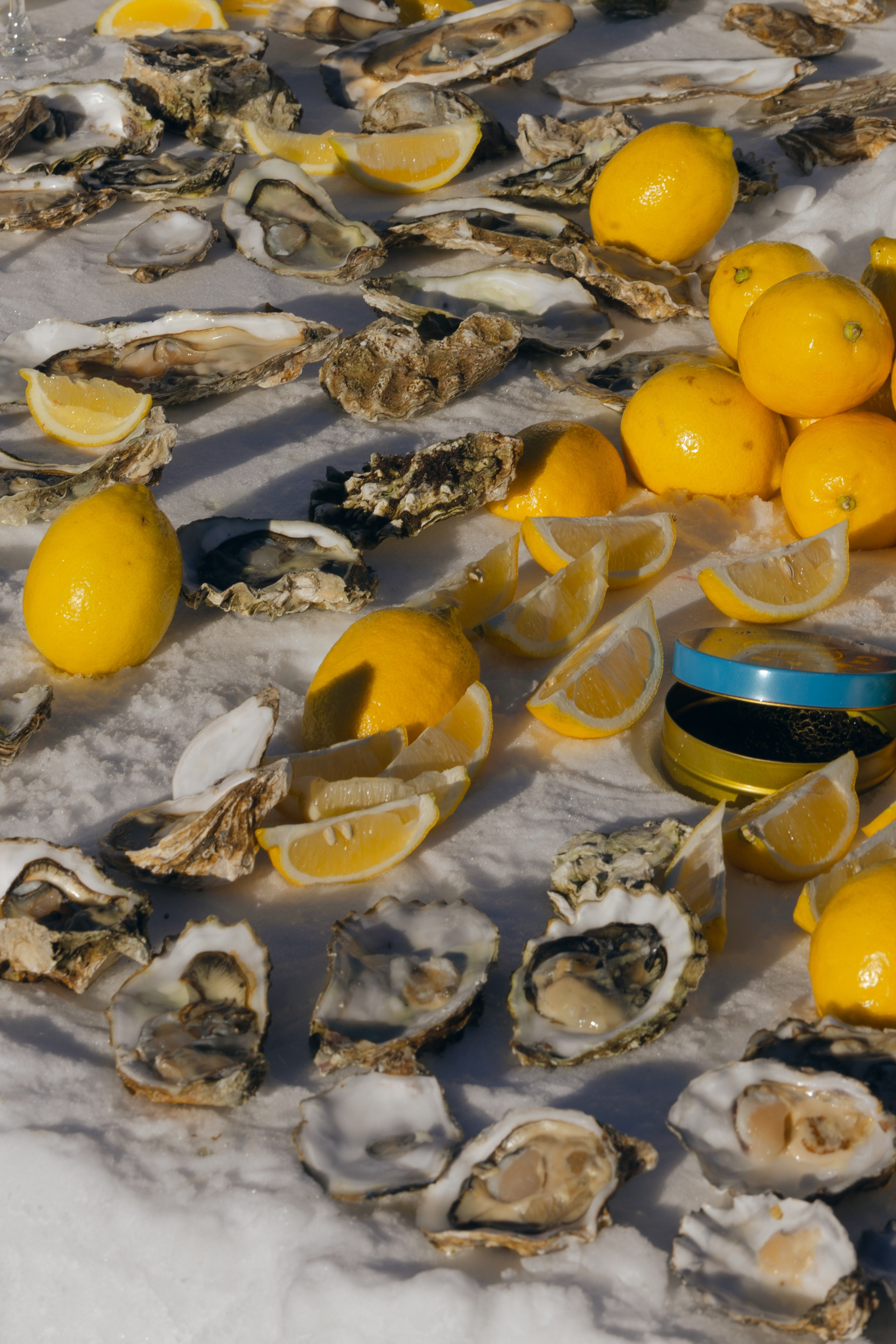 WS. @dariazphoto свадебный фотограф