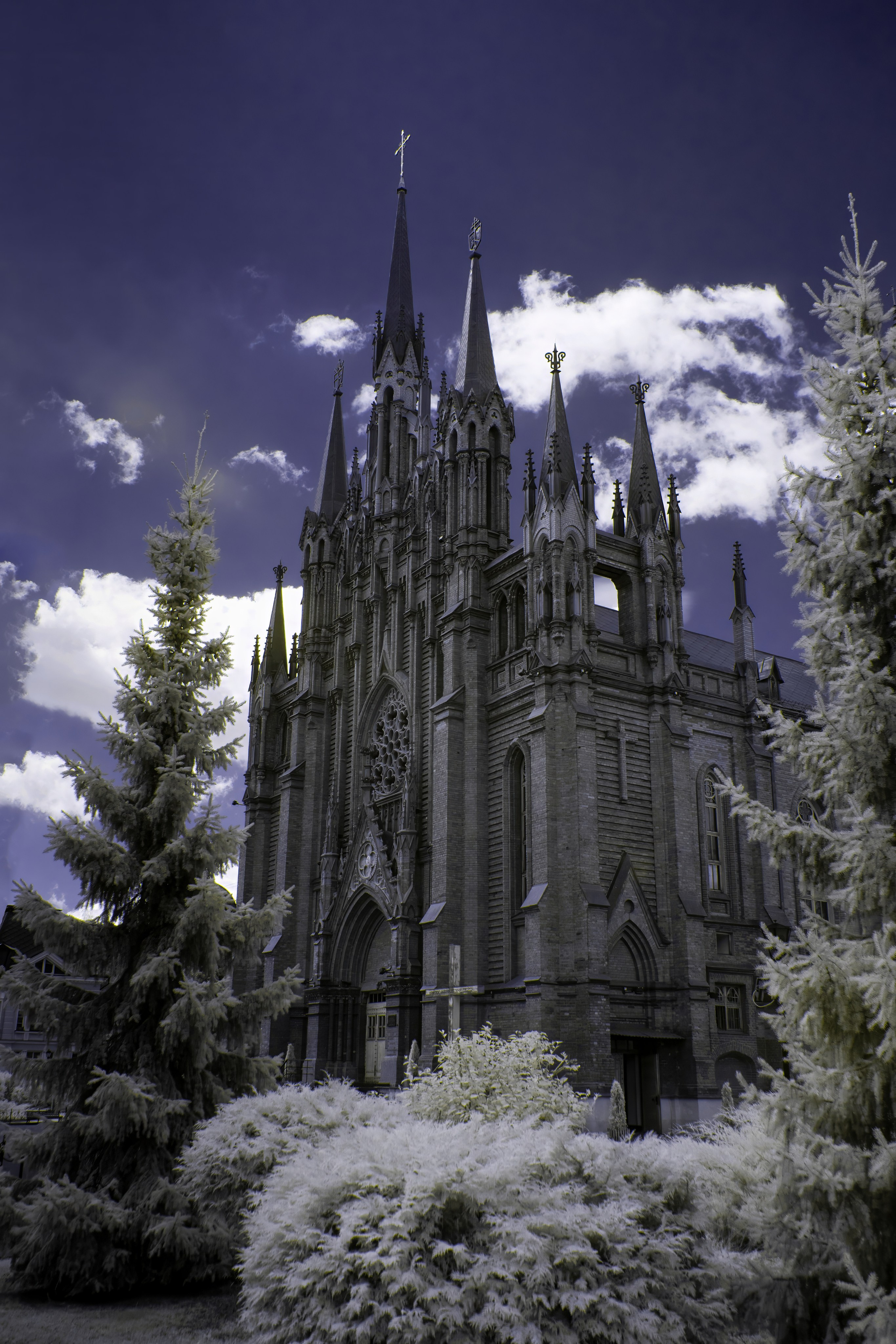 Color — Цветная