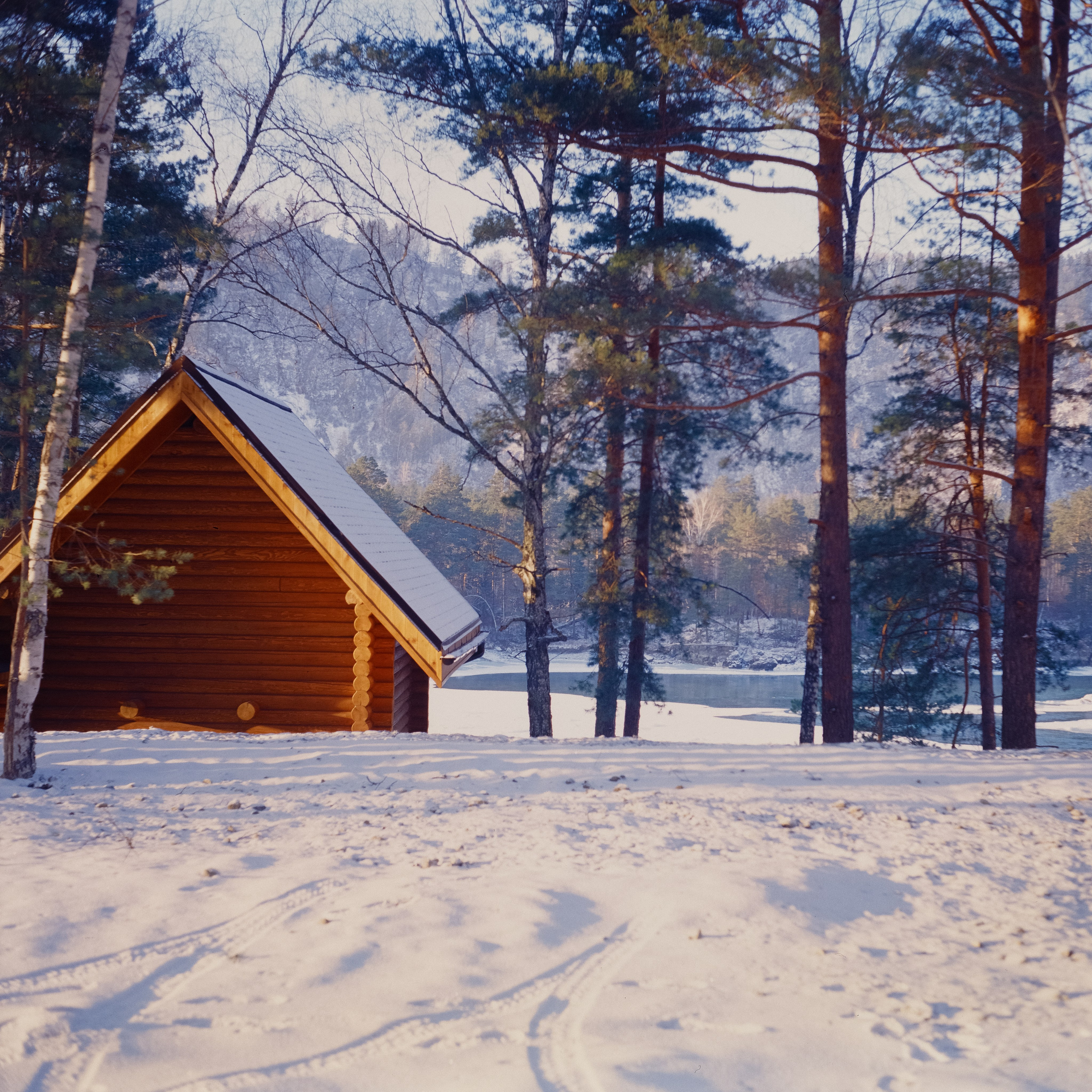 База Сила Алтая / 16 декабря 2023 года (-18℃)  / Kodak Ektachrome 100V