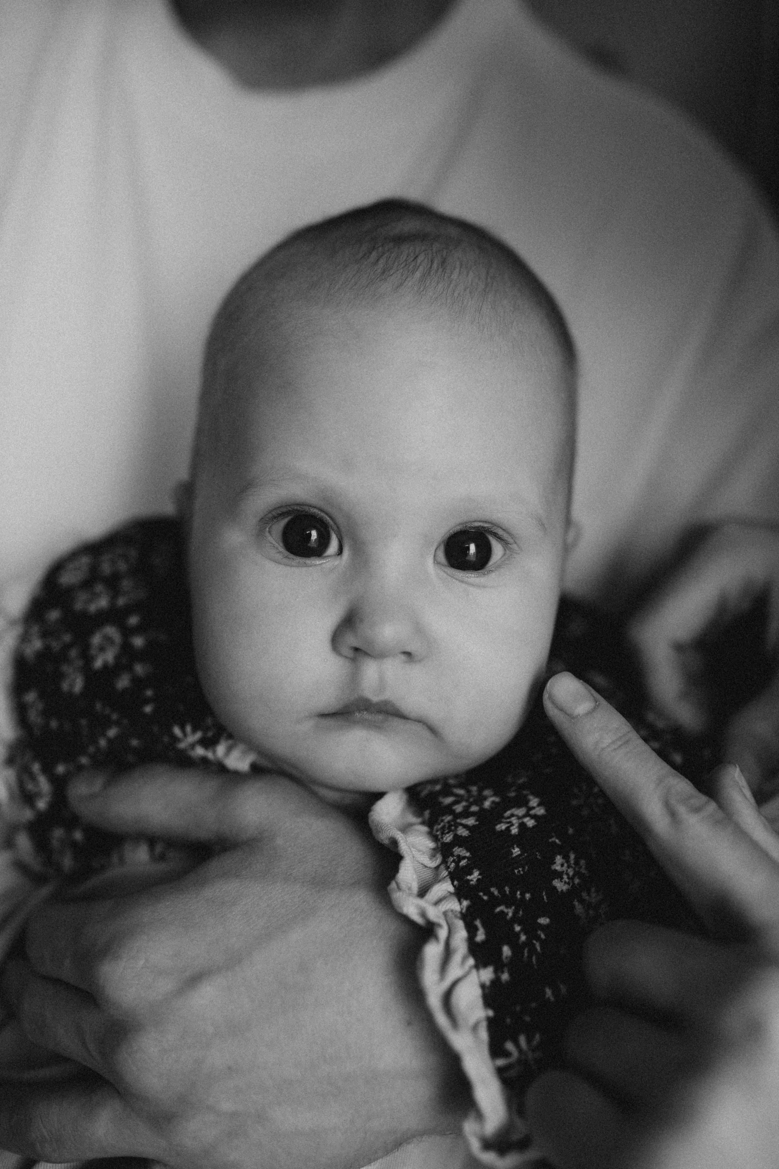 Анюте полгодика. Семейный фотограф в Челябинске Ксения Зубкова