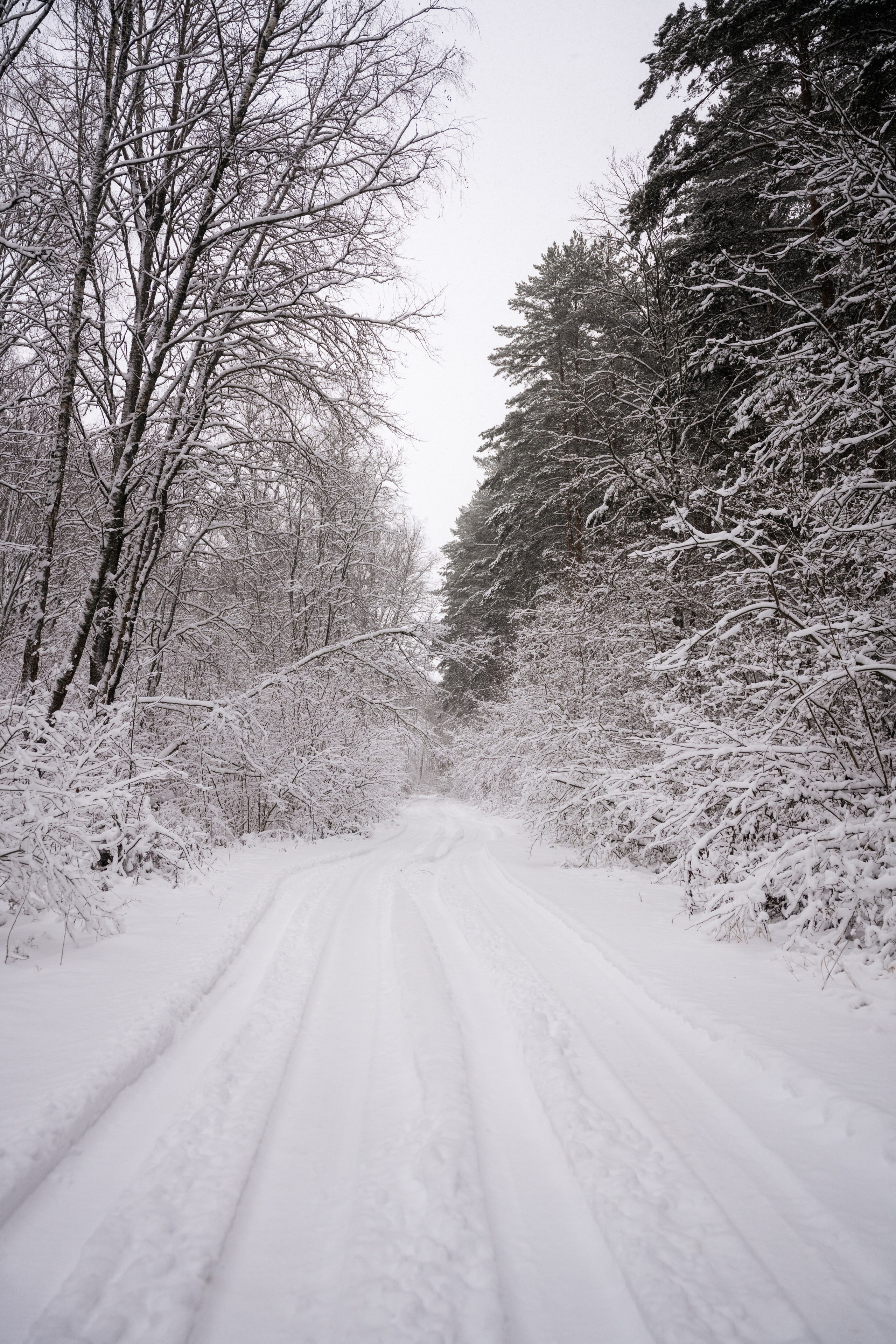 Поездка к р. Песочня и деревне Раевское. Vlad Trykov