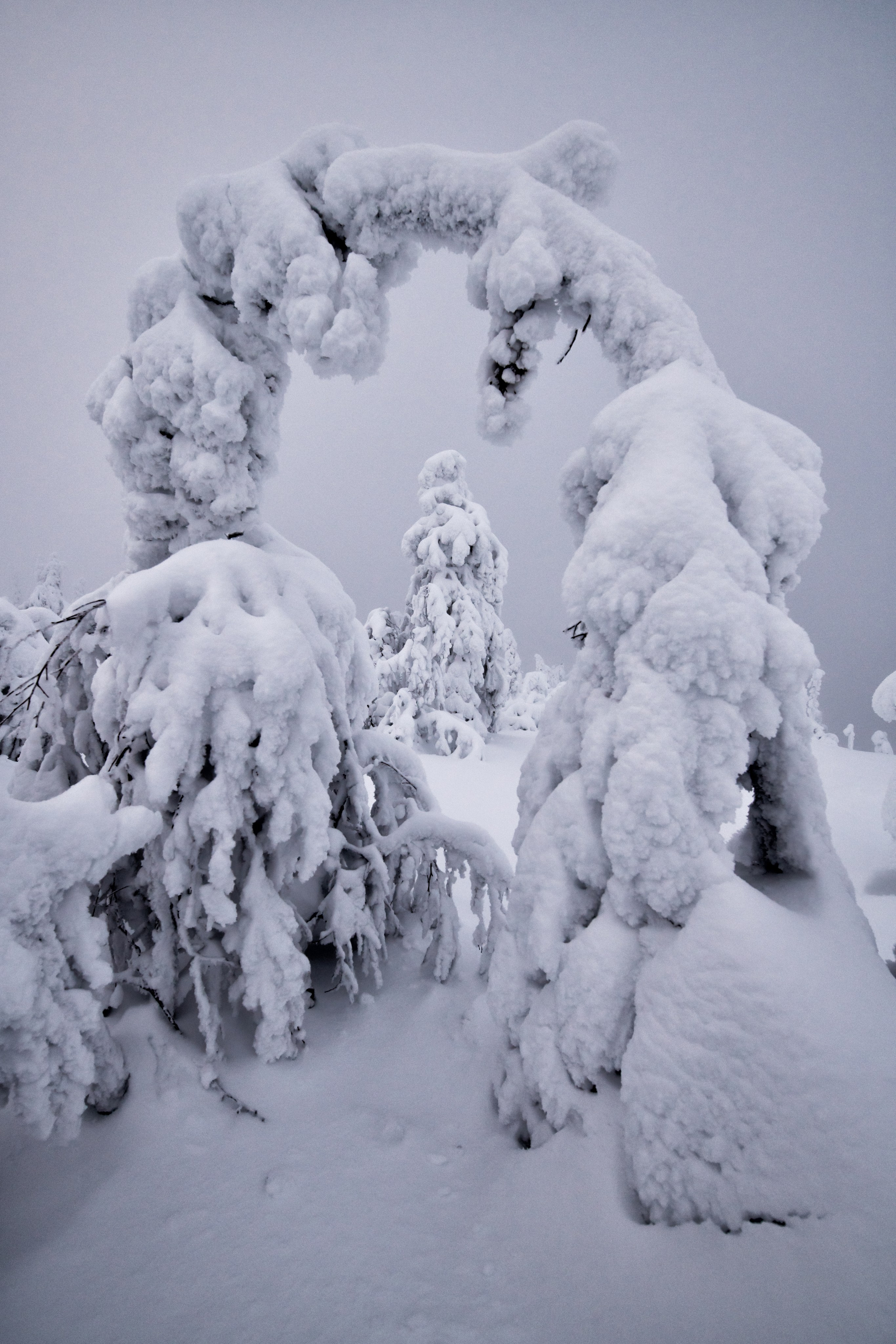 Красоты России. Игорь Иванко — Репортажный и событийный фотограф. Москва