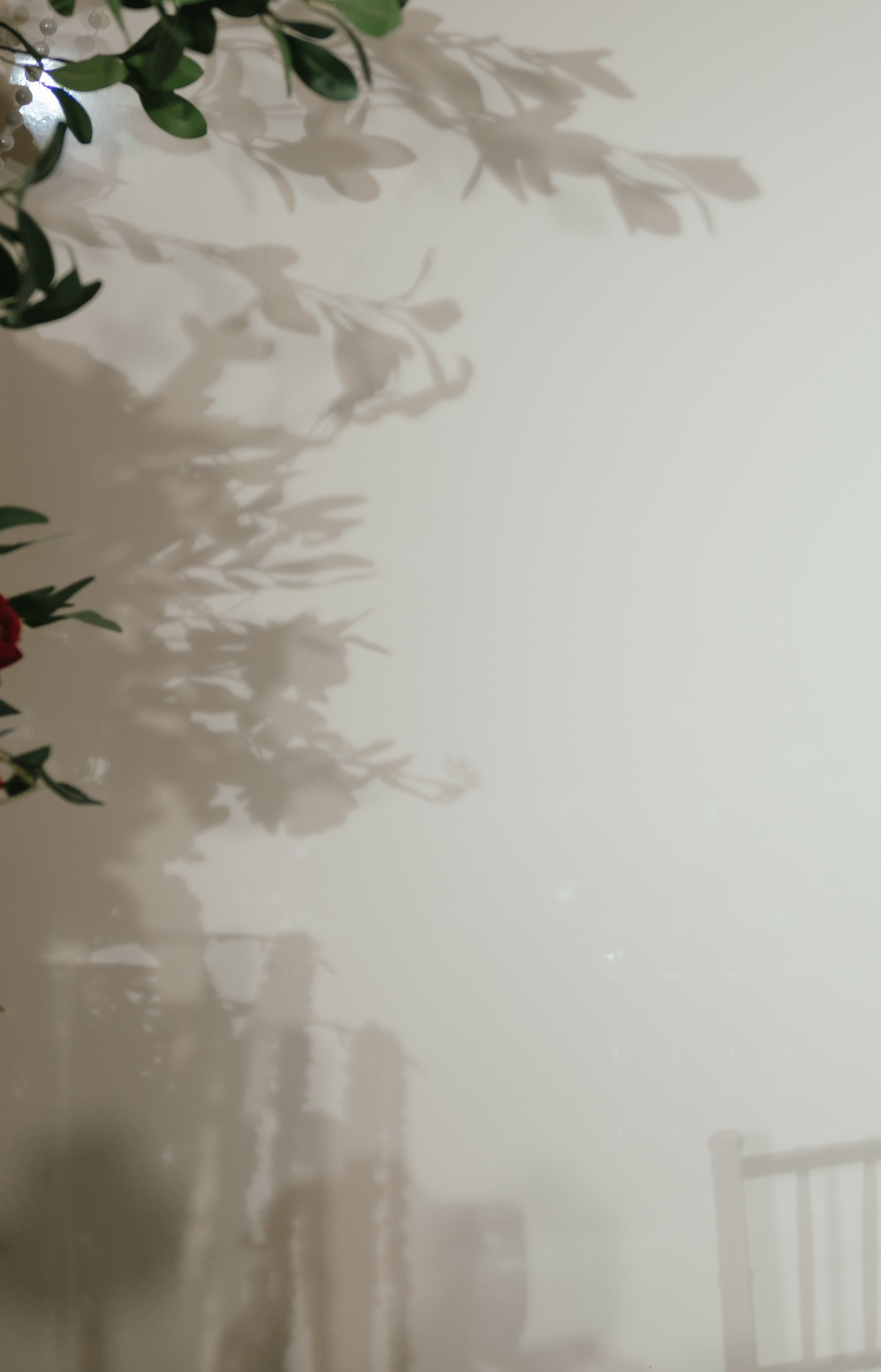 20.02.26. Свадебный, женский, семейный фотограф в Севастополе Юлия Мошенко