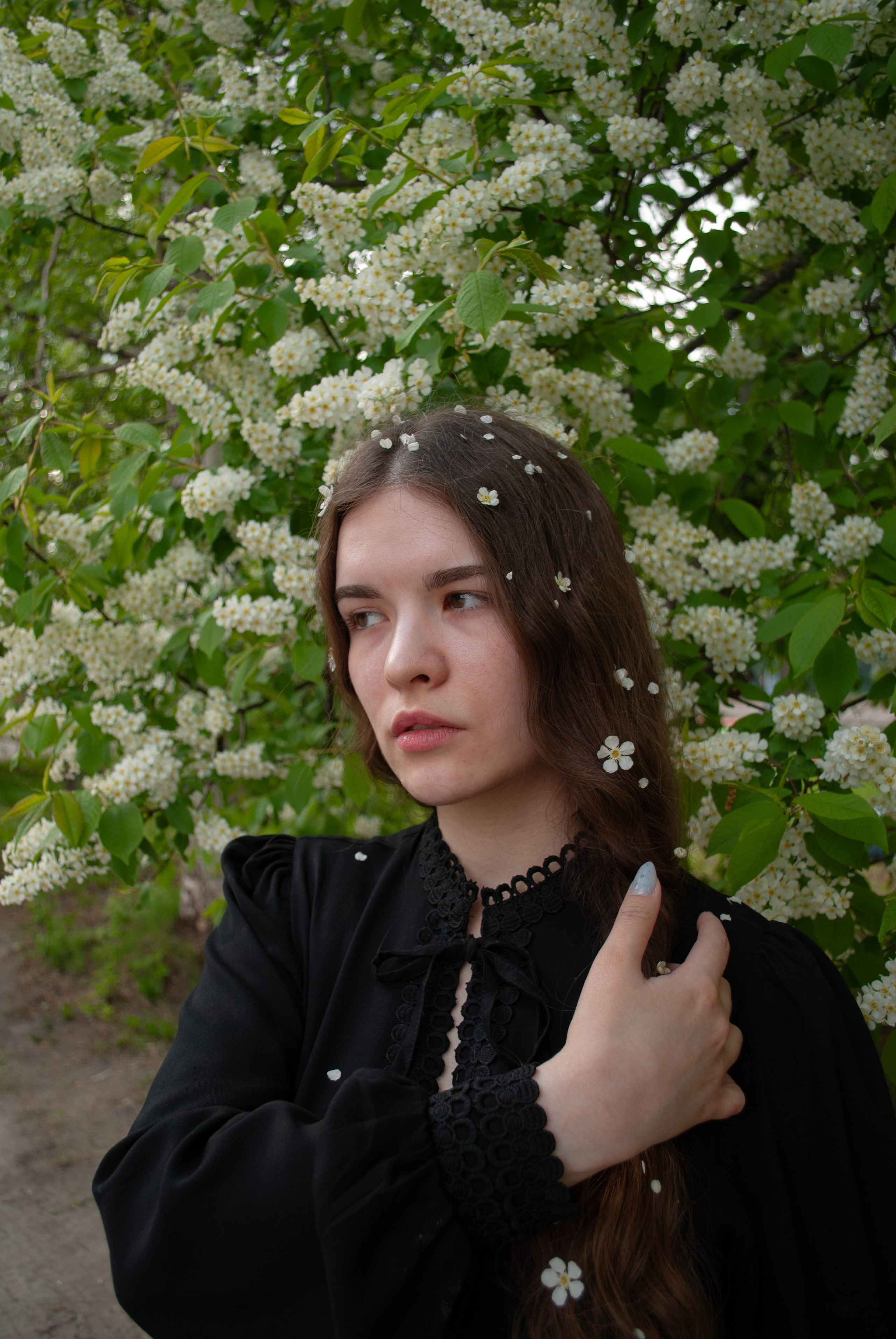 Цветение. Alina.Dvt — профессиональный фотограф|Красноярск