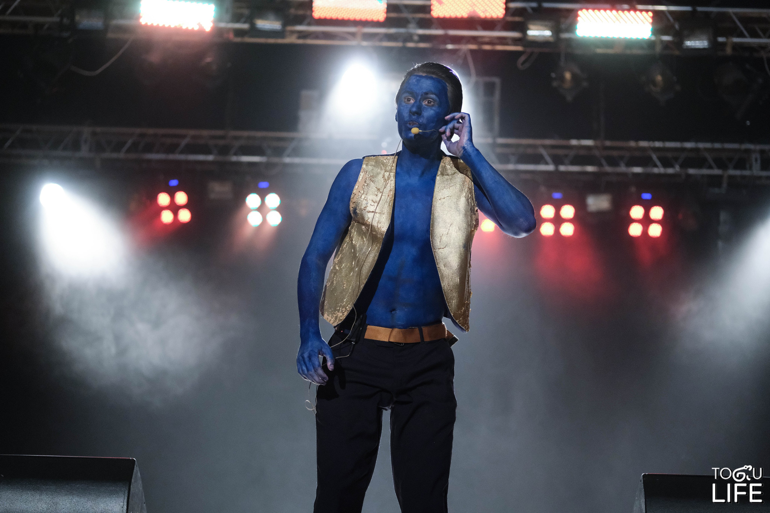 Концерты. NVSL STD