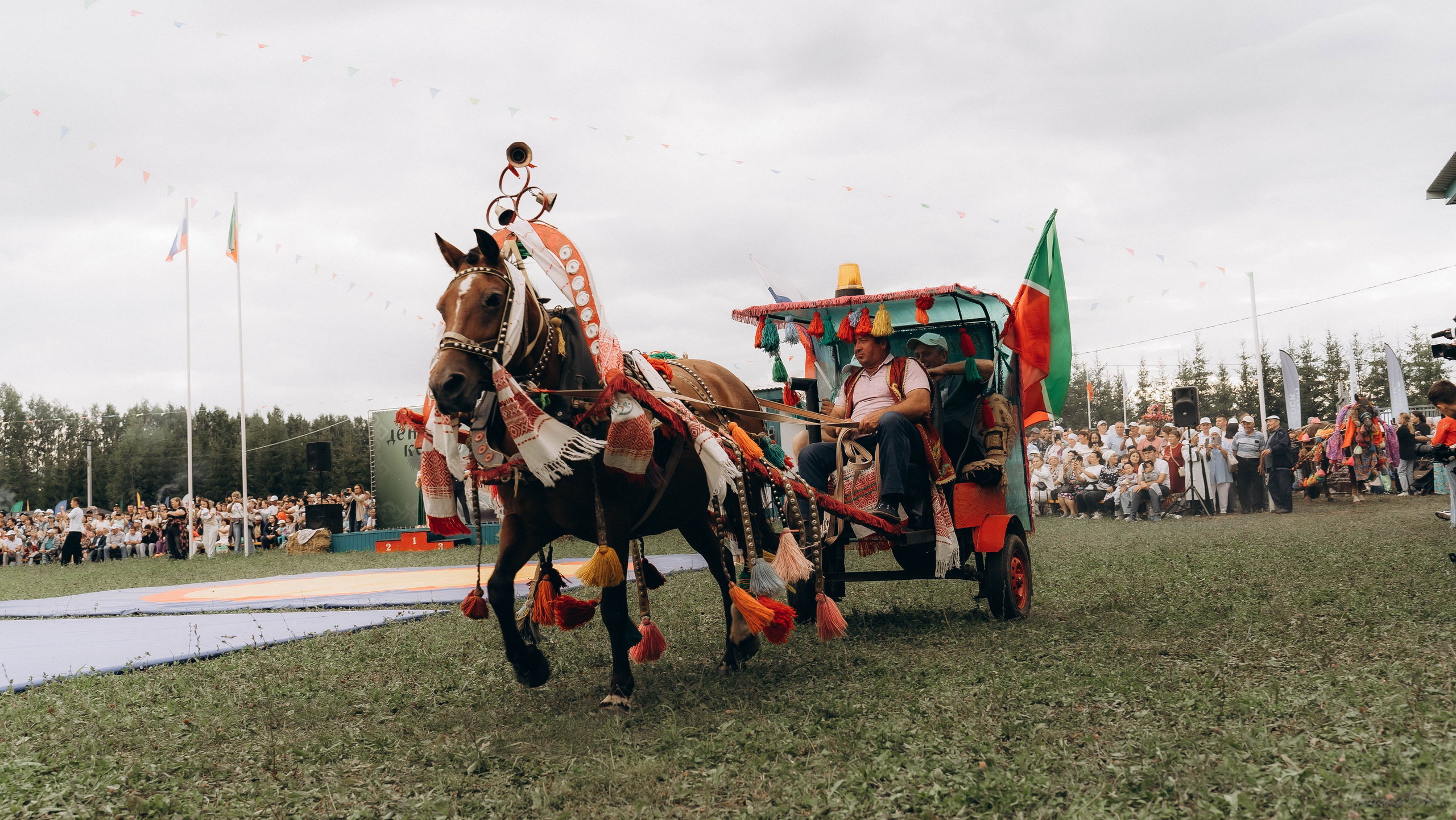День Коня. Алиса Никитцова | Фотограф в Казани