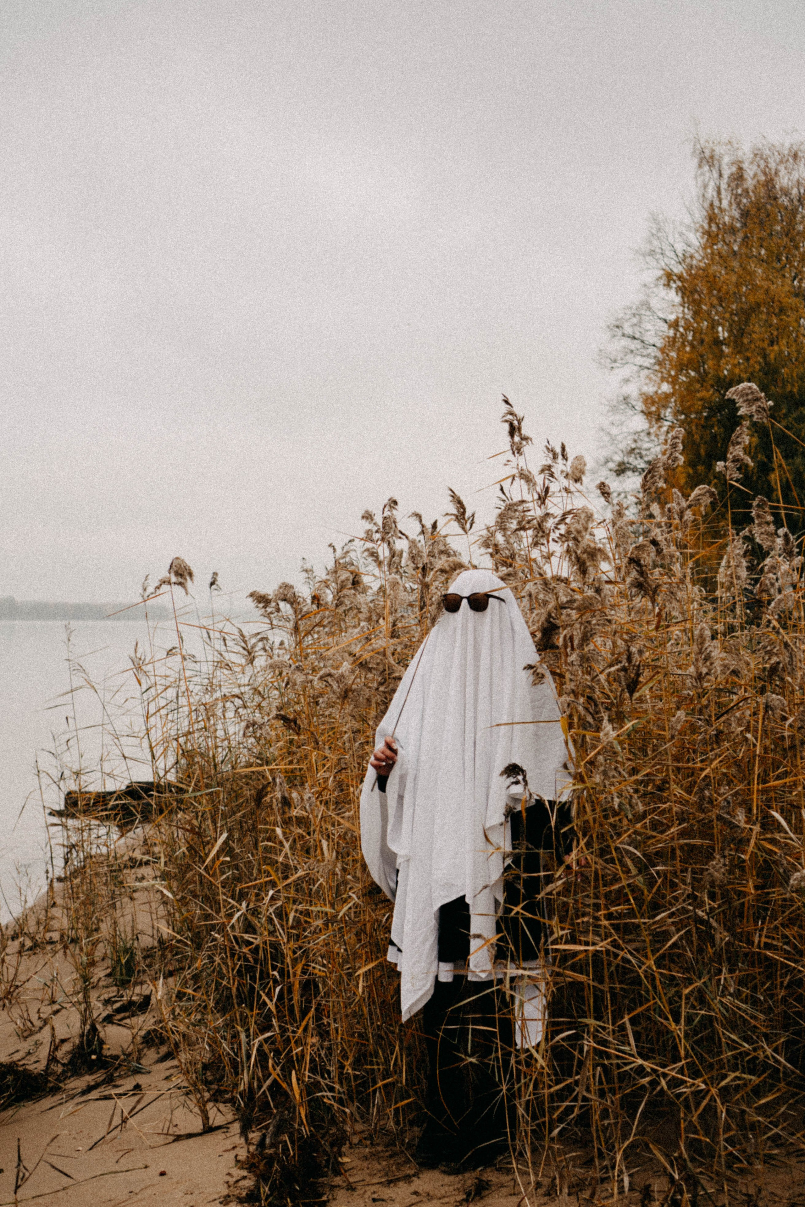 Осеняя. Профессиональный фотограф, Санкт-Петербург — Виктория Богомолова