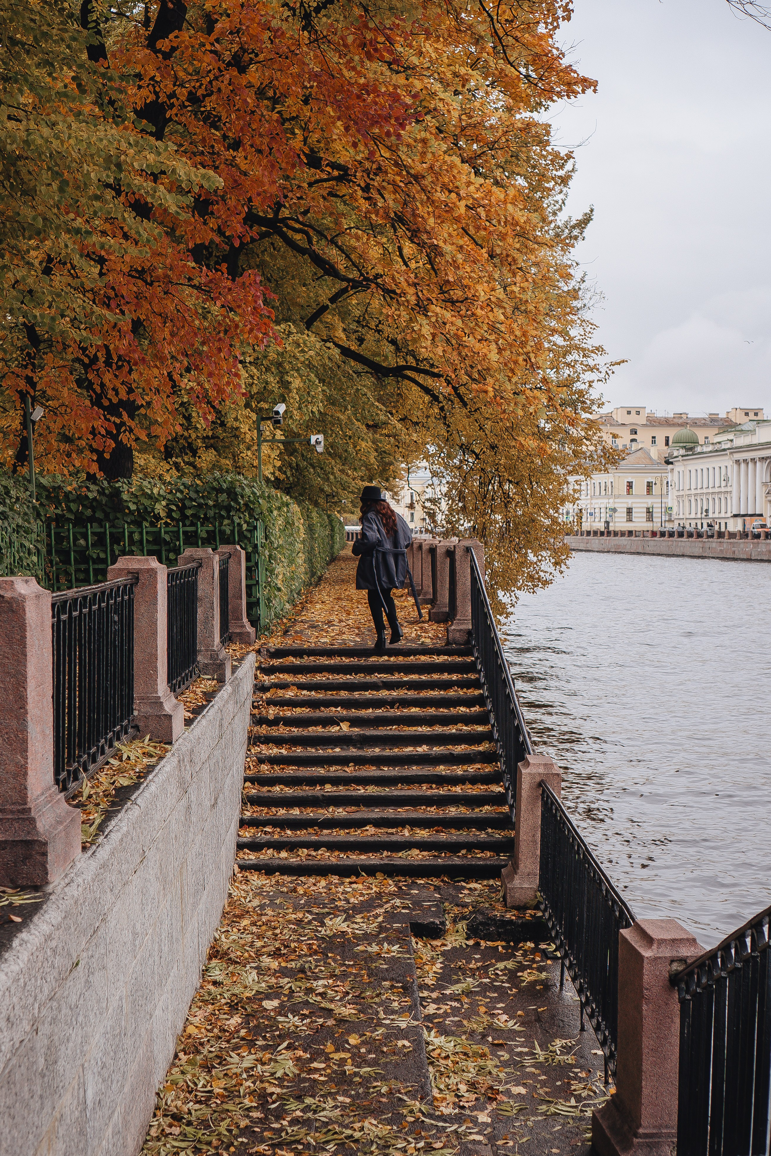 Осень. Профессиональный фотограф, Санкт-Петербург — Виктория Богомолова