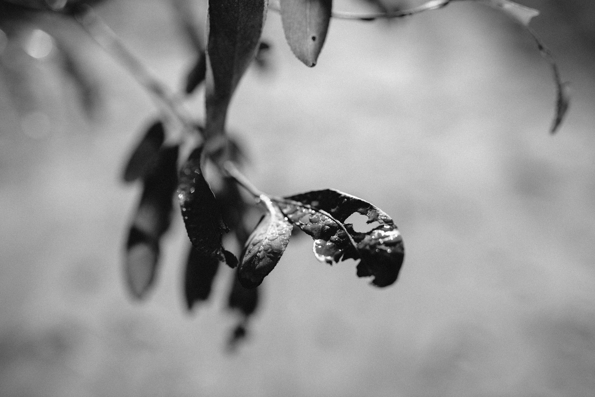 Катя. Фотограф Алутера Ирина