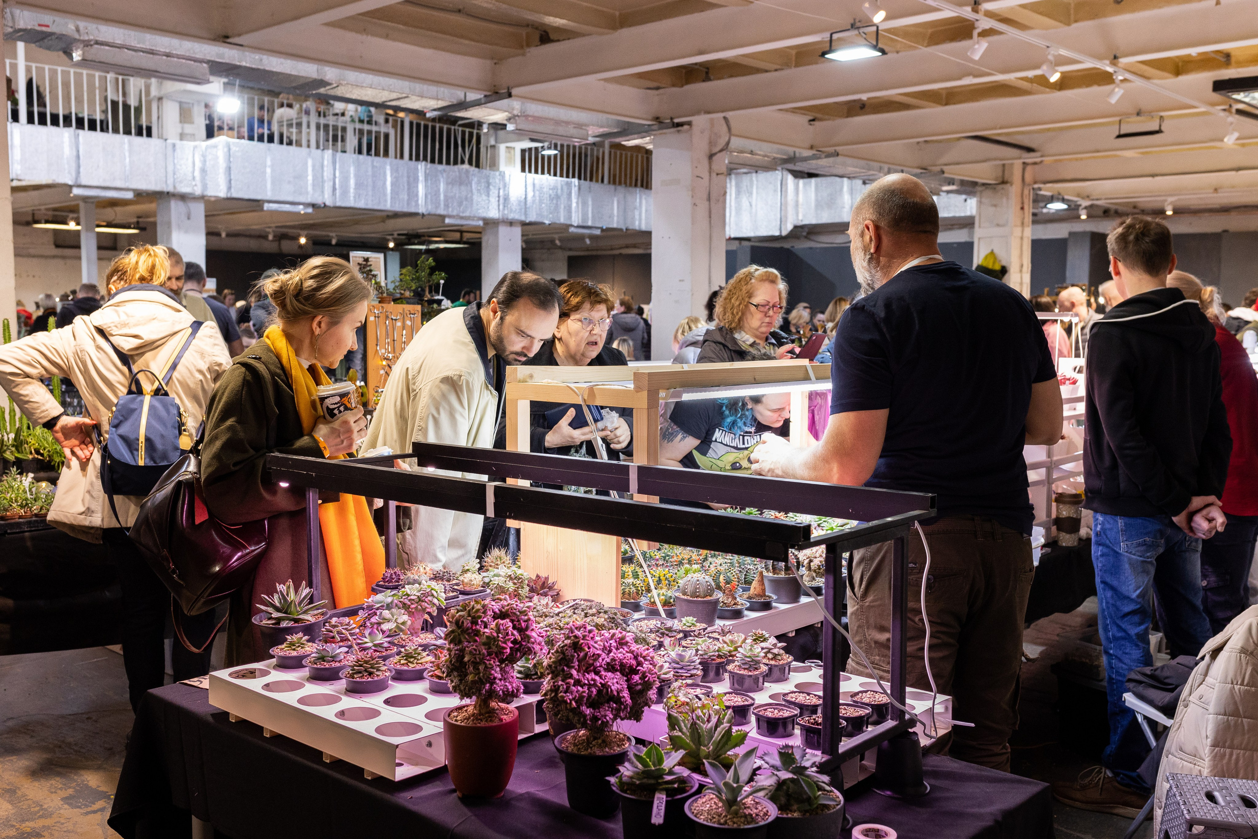 Meza market 2024. Александра Куликова фотограф, Москва