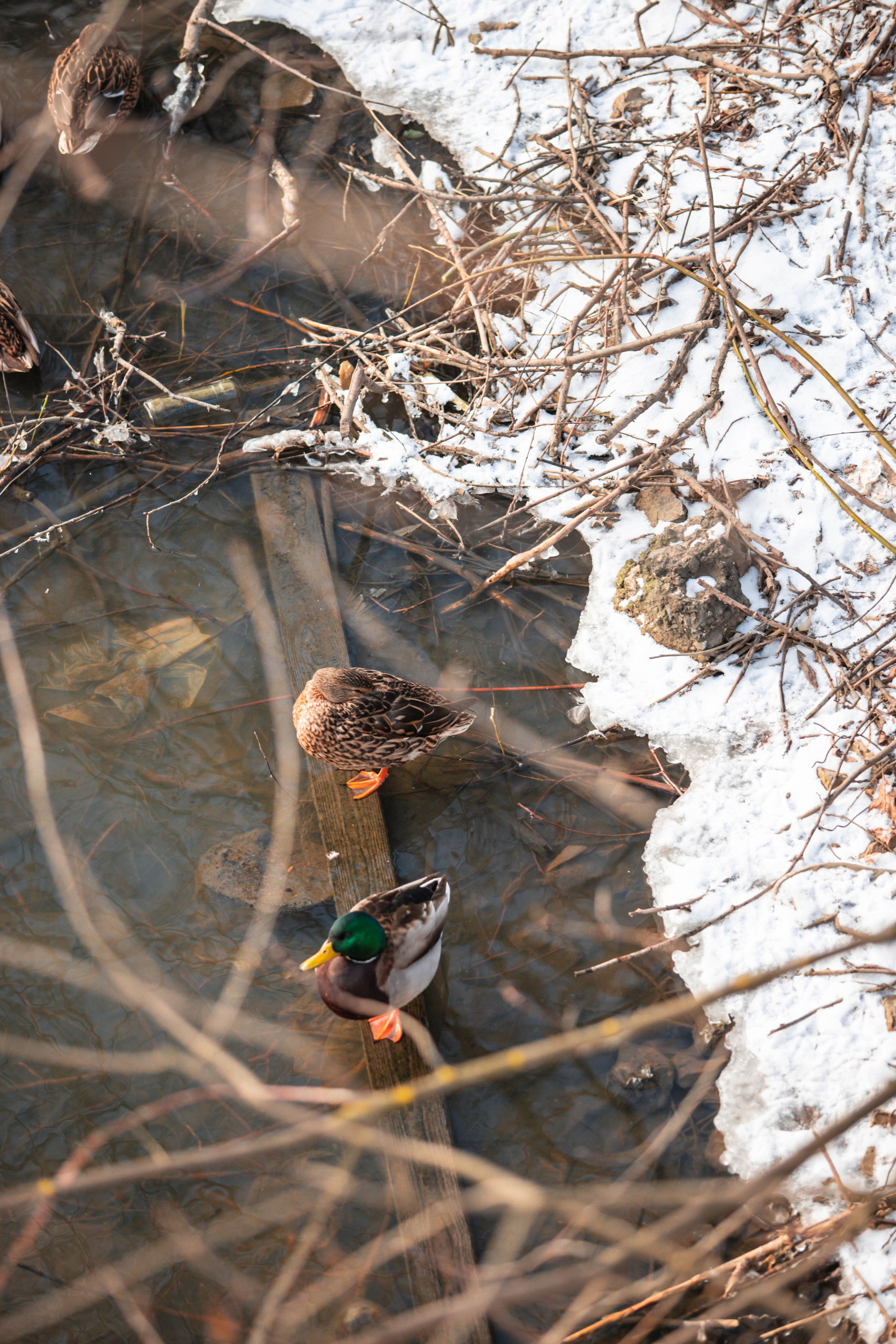 5 верст_Бабушкинская. Александра Мельниченко/ Бегающий фотограф