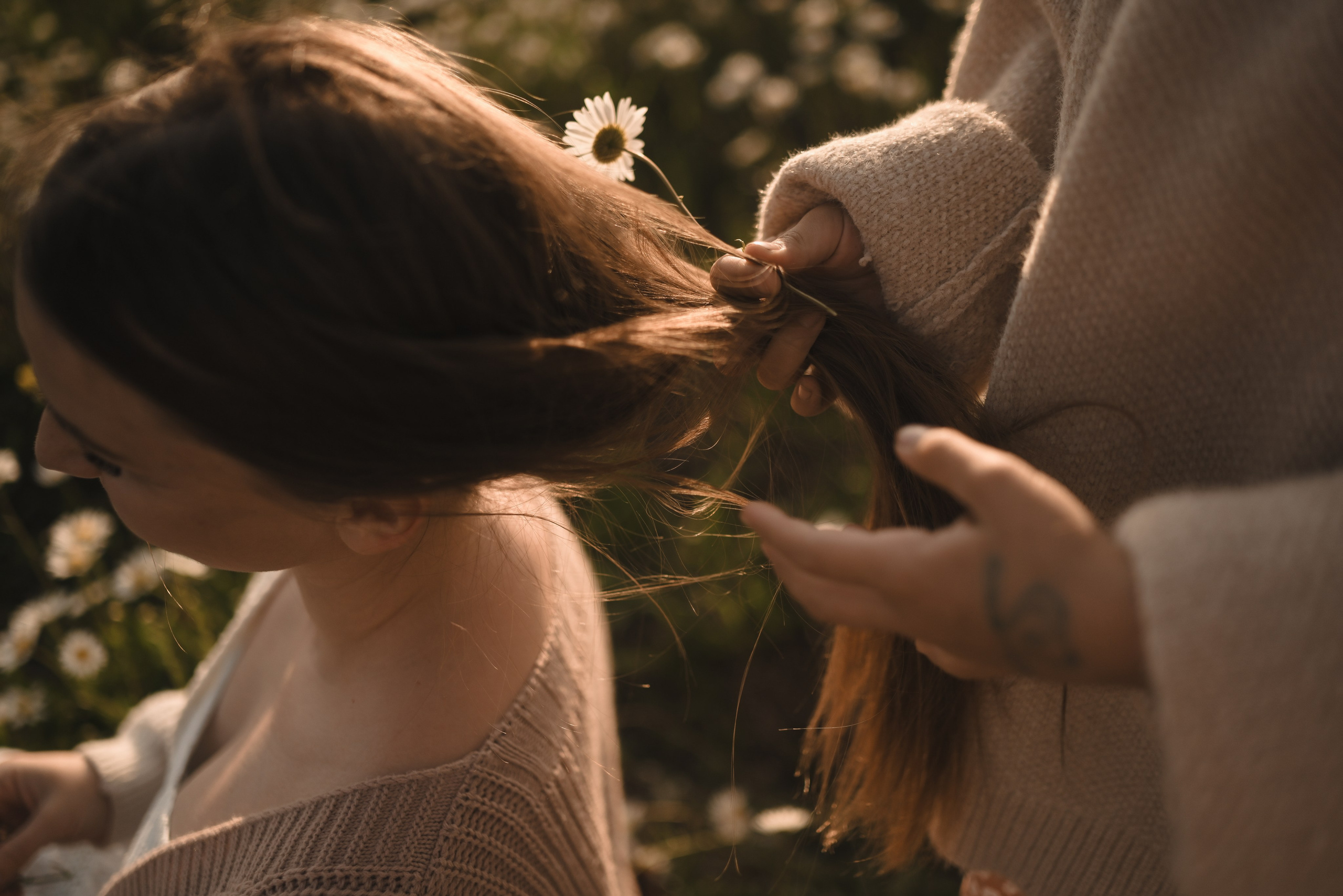 Семейная фотосессия в ромашковом поле в Крыму. Свадебный и семейный фотограф и видеограф, Крым, Москва, Санкт -Петербург