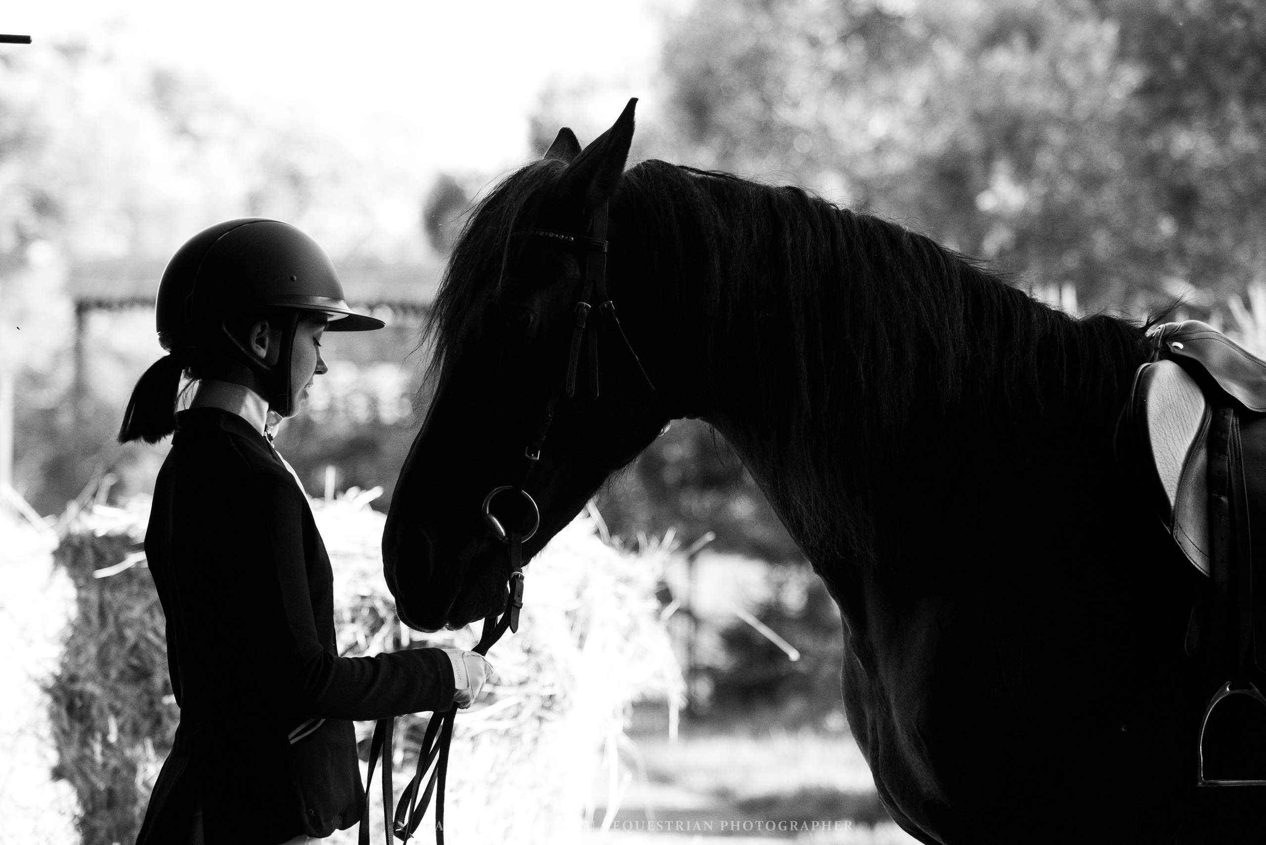 Алиса — Аванпост. Конный фотограф Куракина Дарья • Фотосессии с лошадьми
