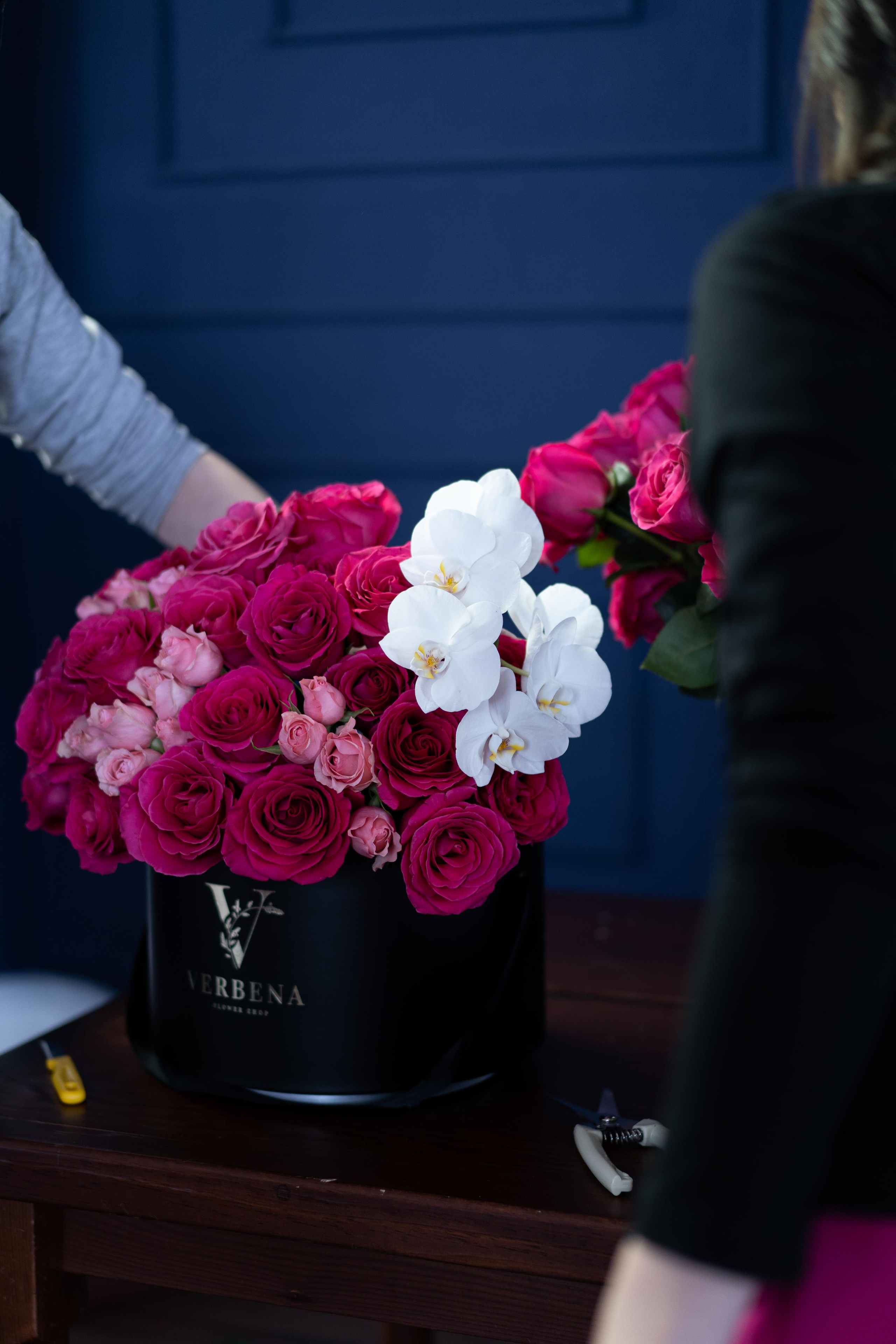 VERBENA flowers. Photographer & Videographer based in Ansan, South Korea
