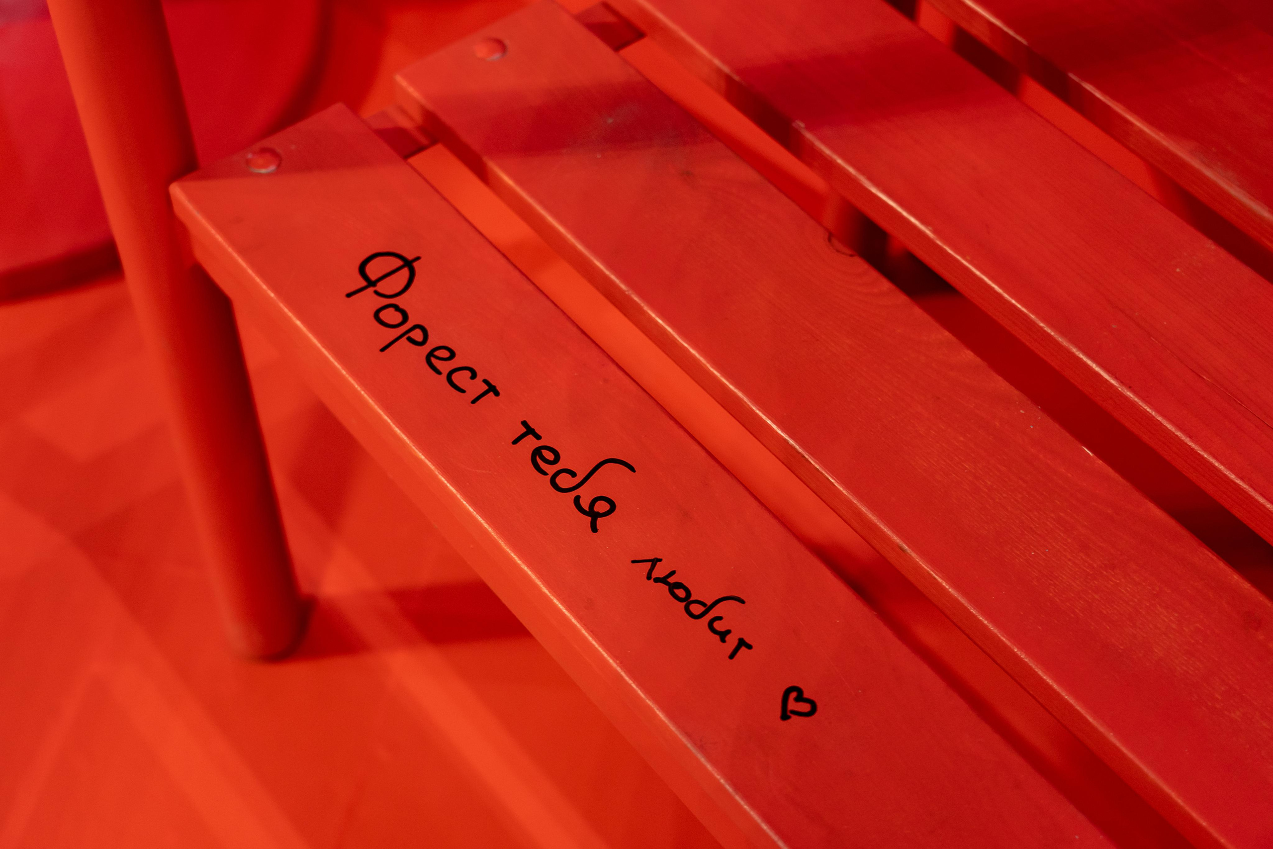 RED FOREST. Photographer & Videographer based in Ansan, South Korea