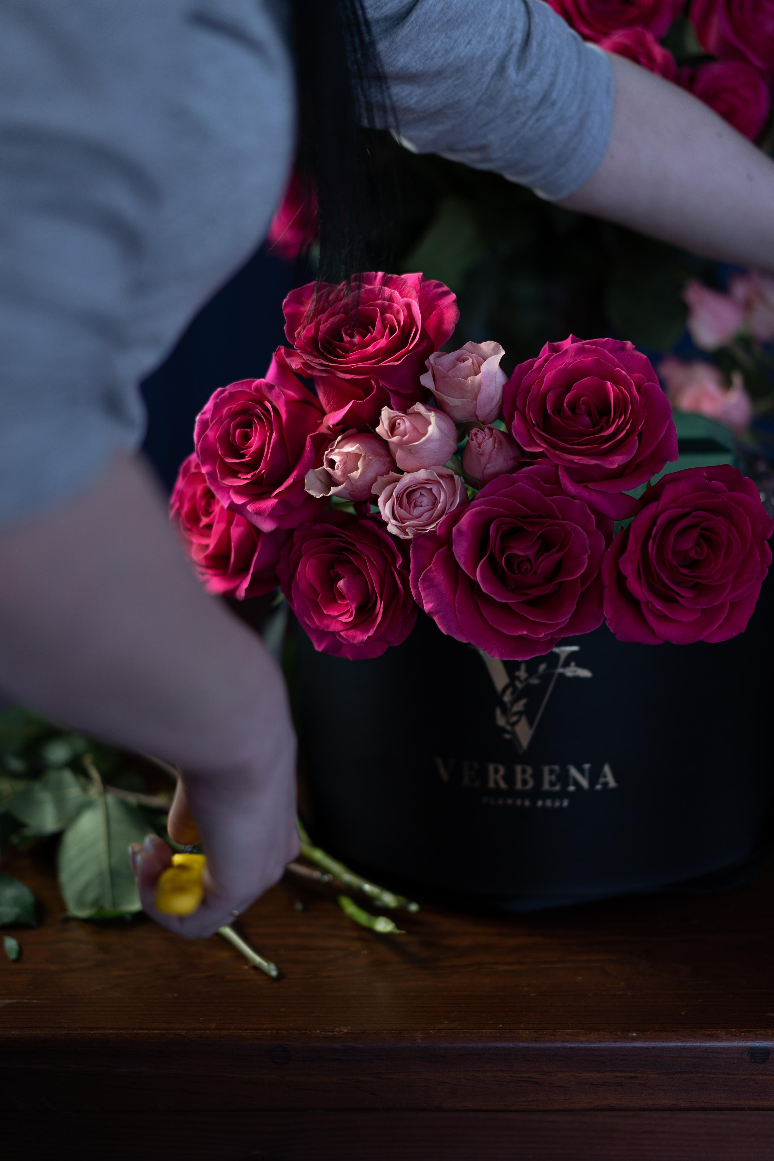 VERBENA flowers. Photographer & Videographer based in Ansan, South Korea