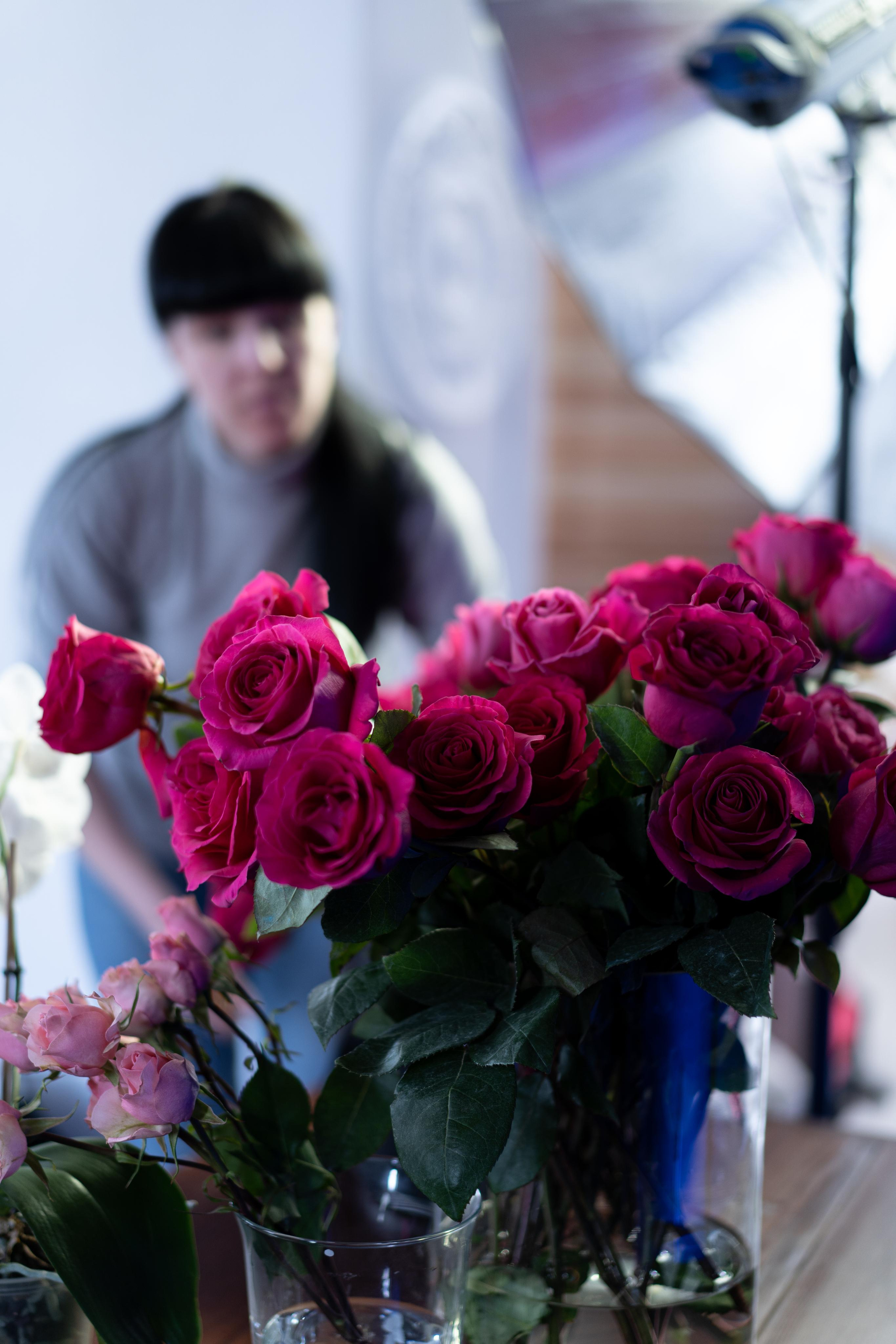 VERBENA flowers. Photographer & Videographer based in Ansan, South Korea
