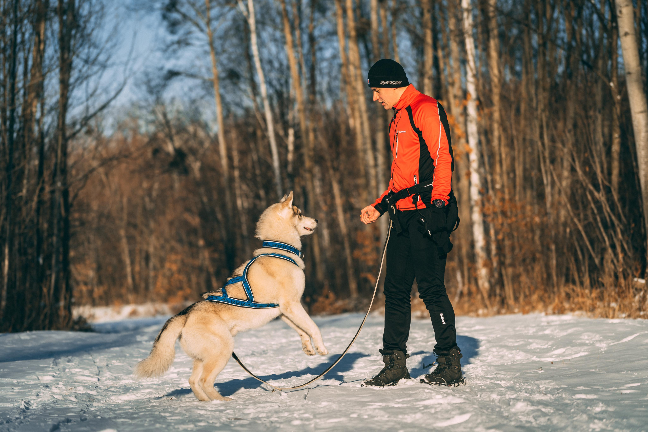 Bandit. Photographer & Videographer based in Ansan, South Korea