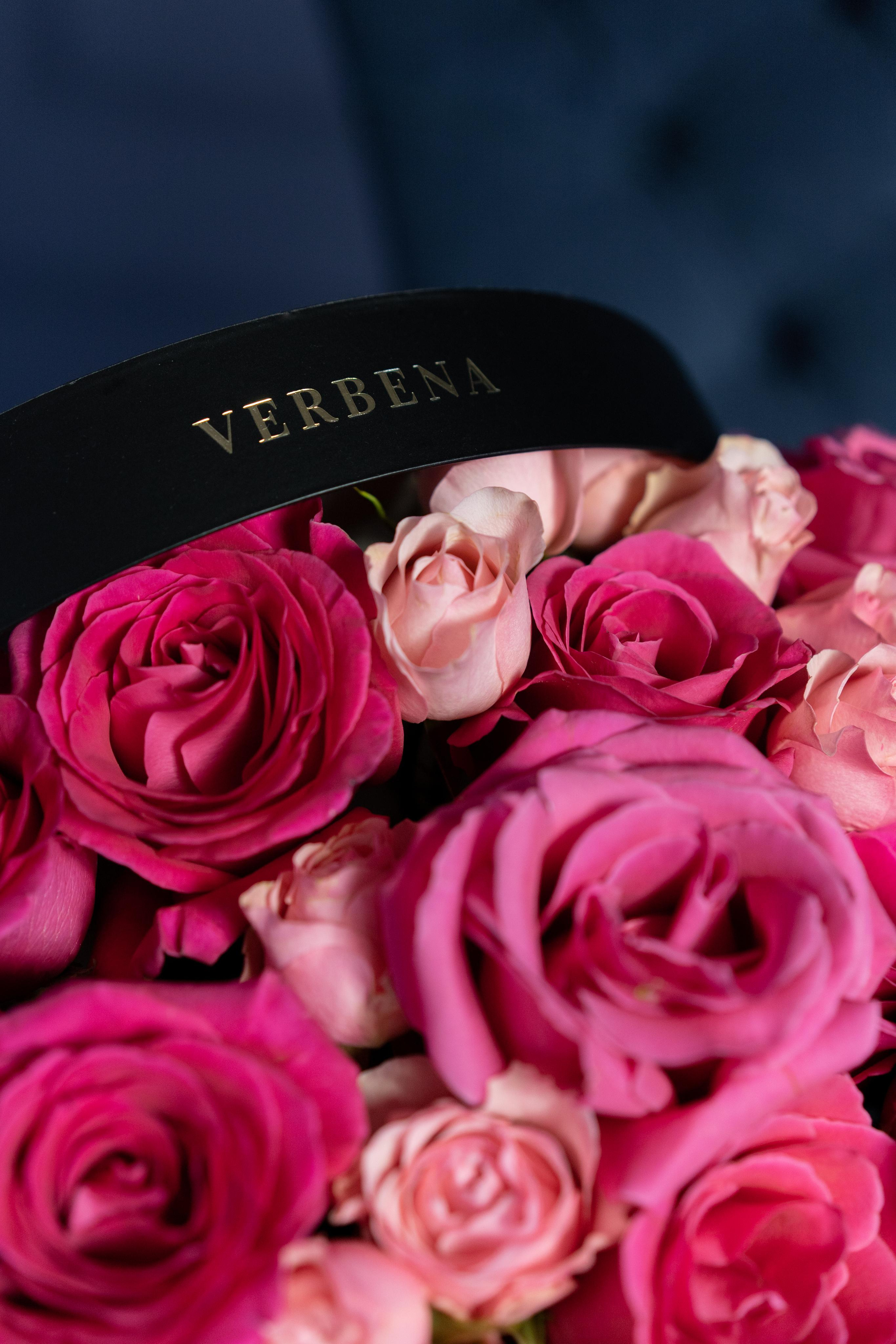 VERBENA flowers. Photographer & Videographer based in Ansan, South Korea