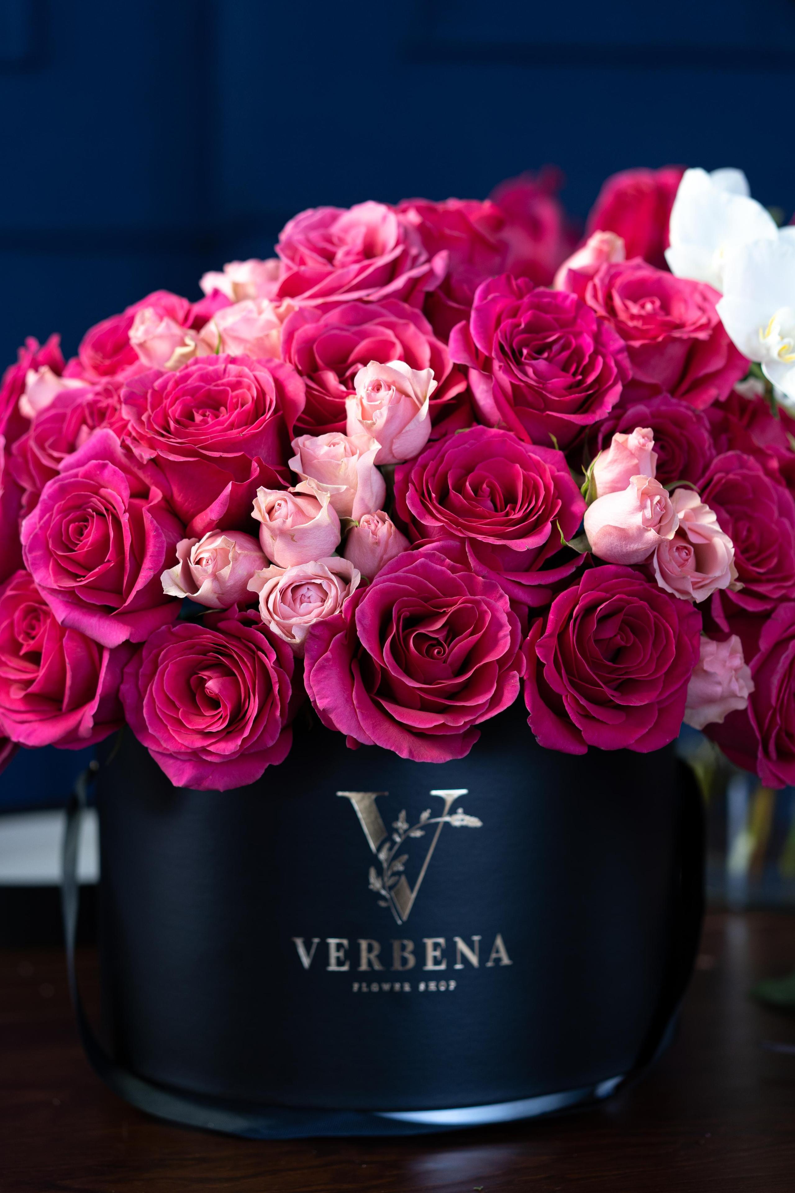 VERBENA flowers. Photographer & Videographer based in Ansan, South Korea