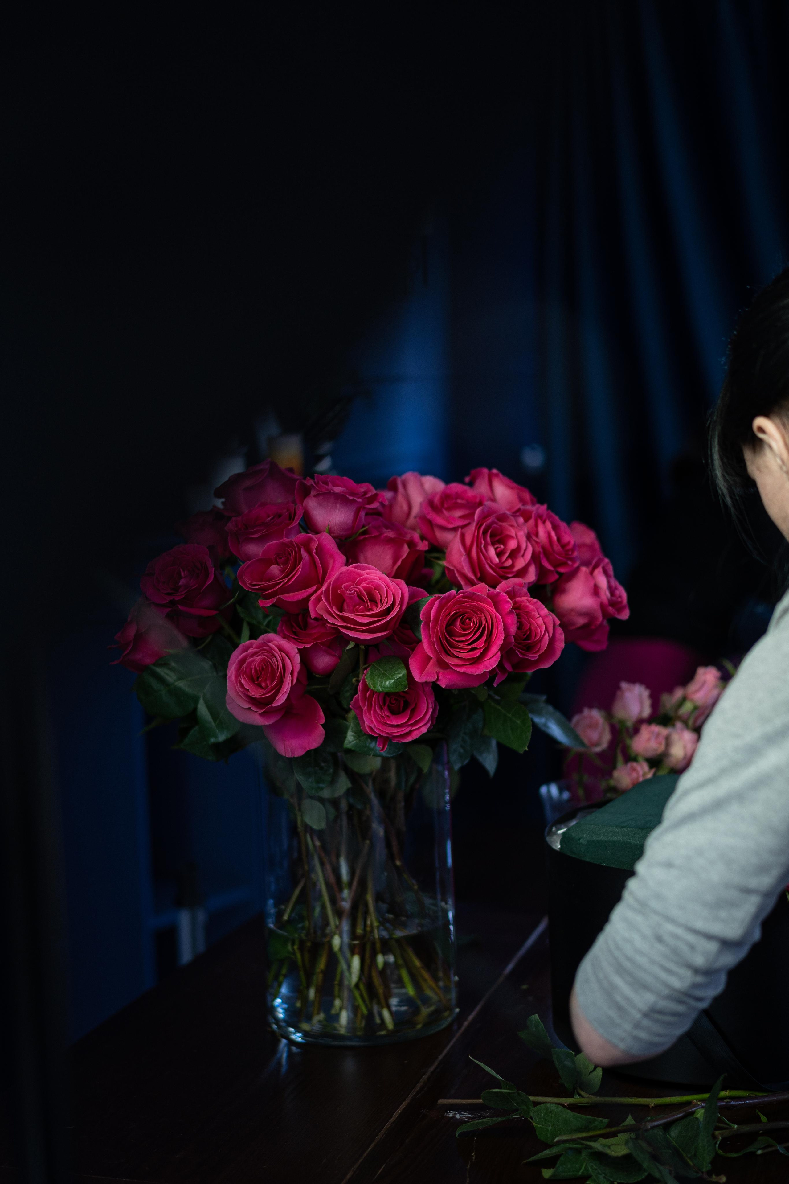 VERBENA flowers. Photographer & Videographer based in Ansan, South Korea