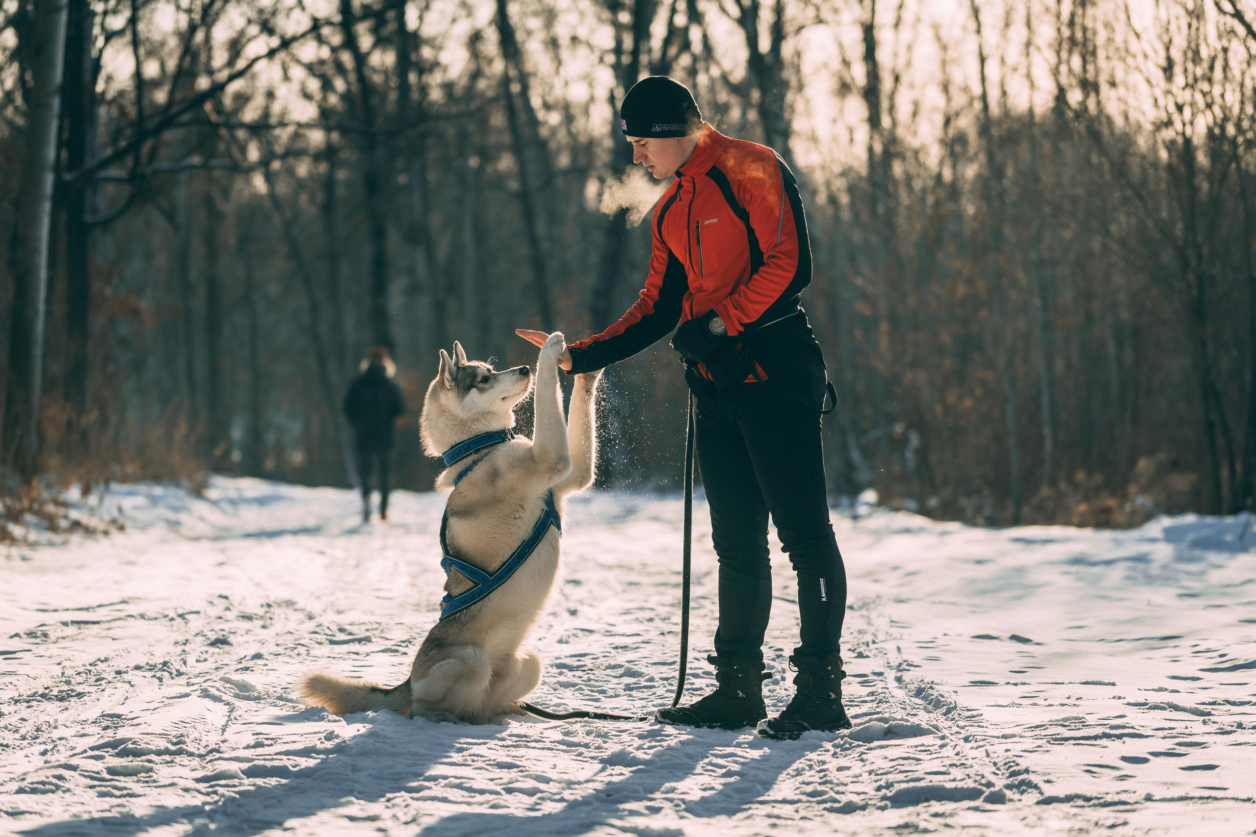 Bandit. Photographer & Videographer based in Ansan, South Korea