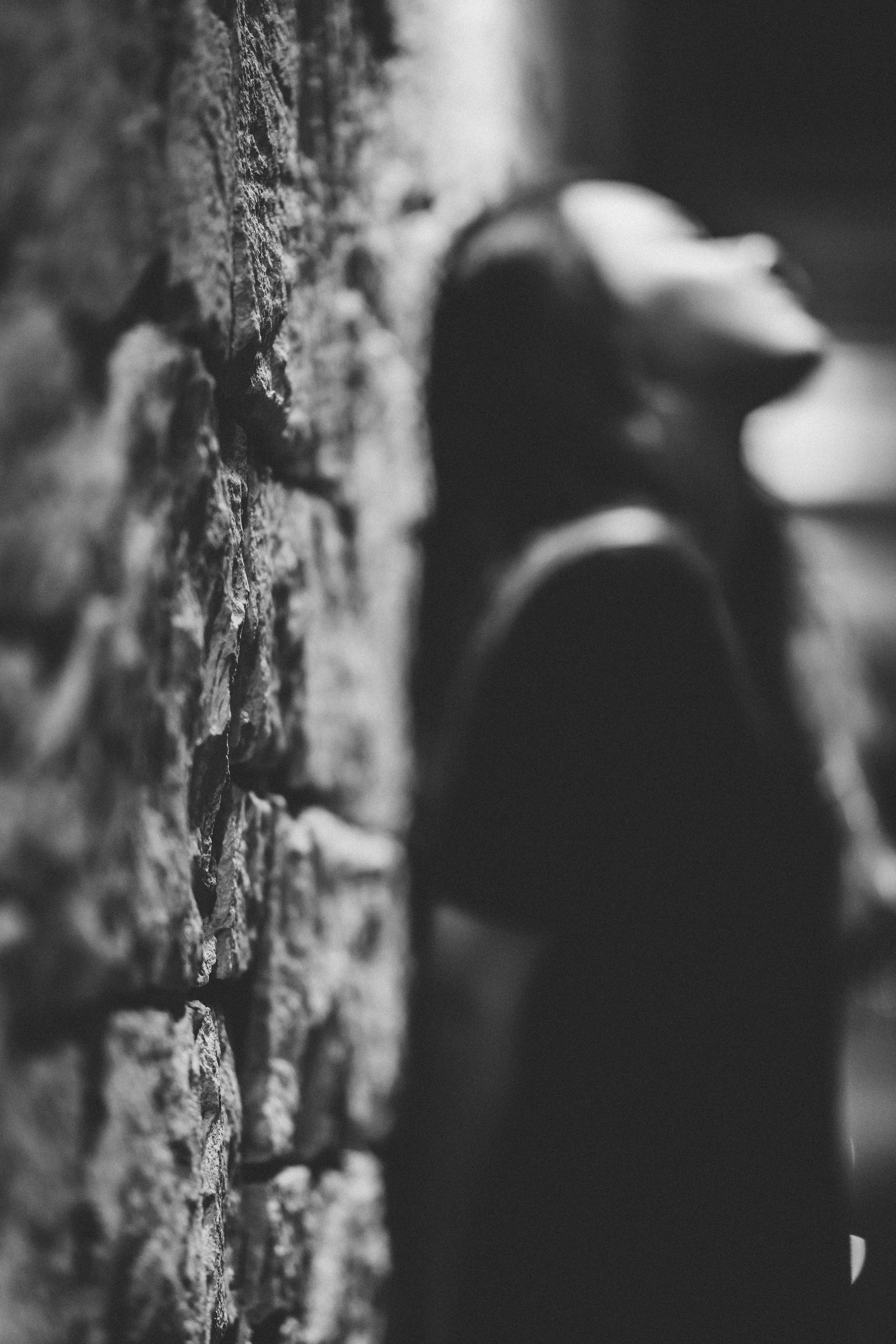 Olga P. Photographer & Videographer based in Ansan, South Korea