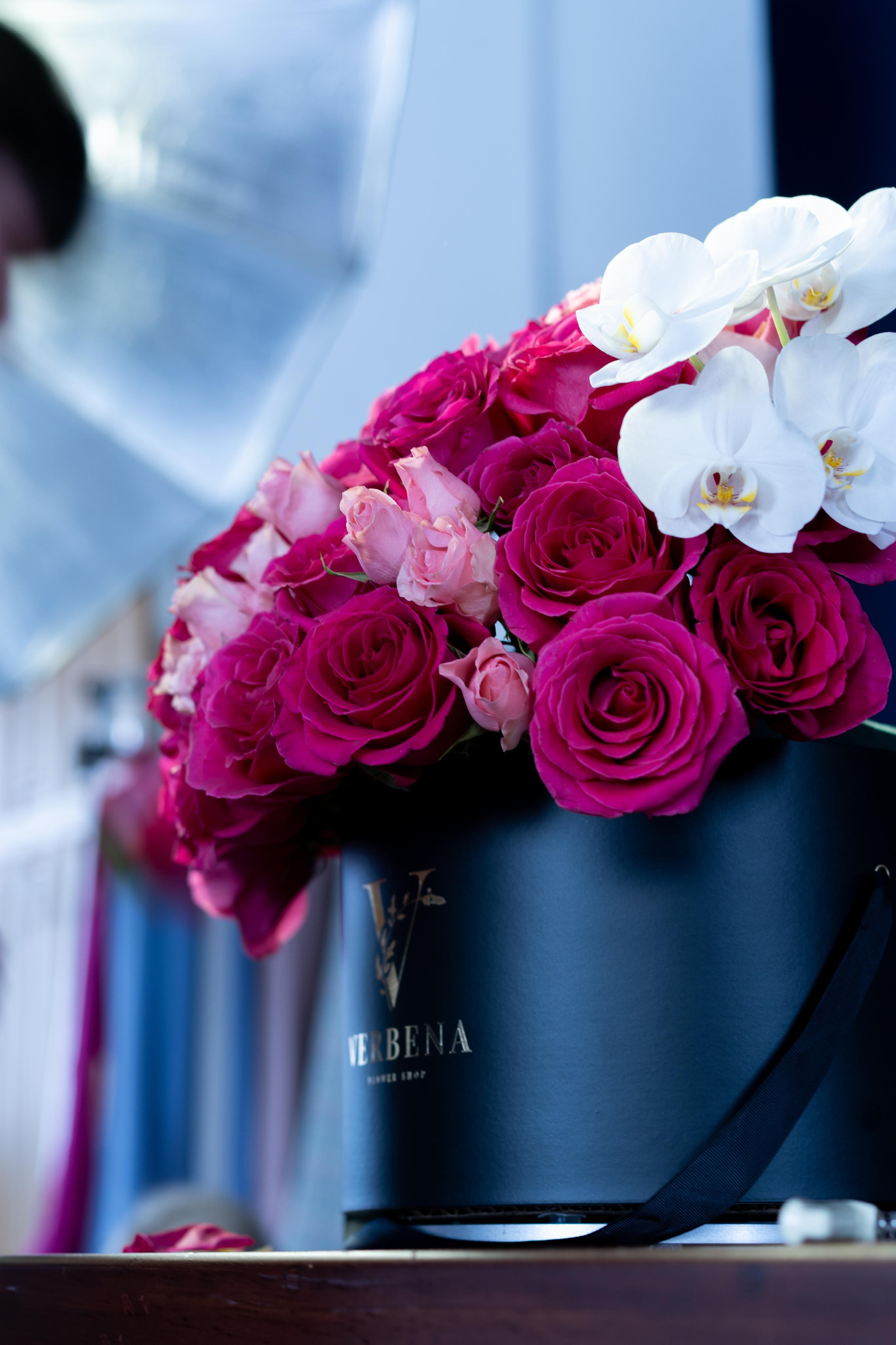 VERBENA flowers. Photographer & Videographer based in Ansan, South Korea
