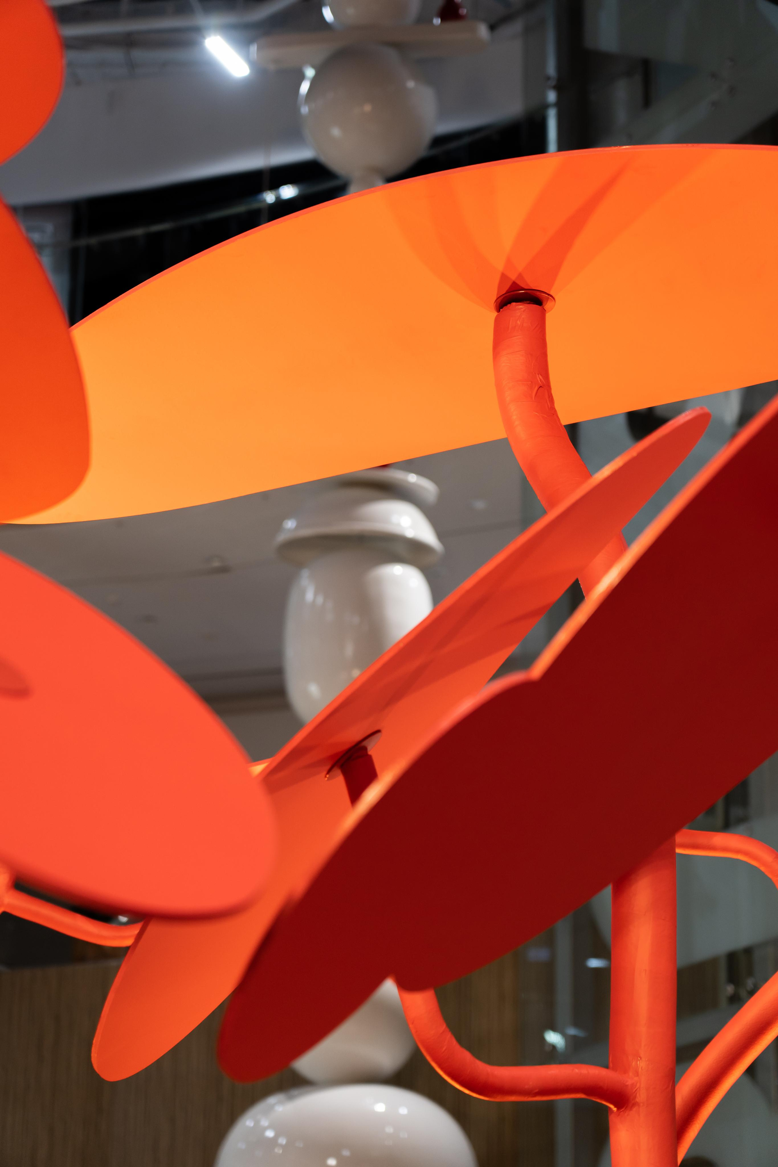 RED FOREST. Photographer & Videographer based in Ansan, South Korea