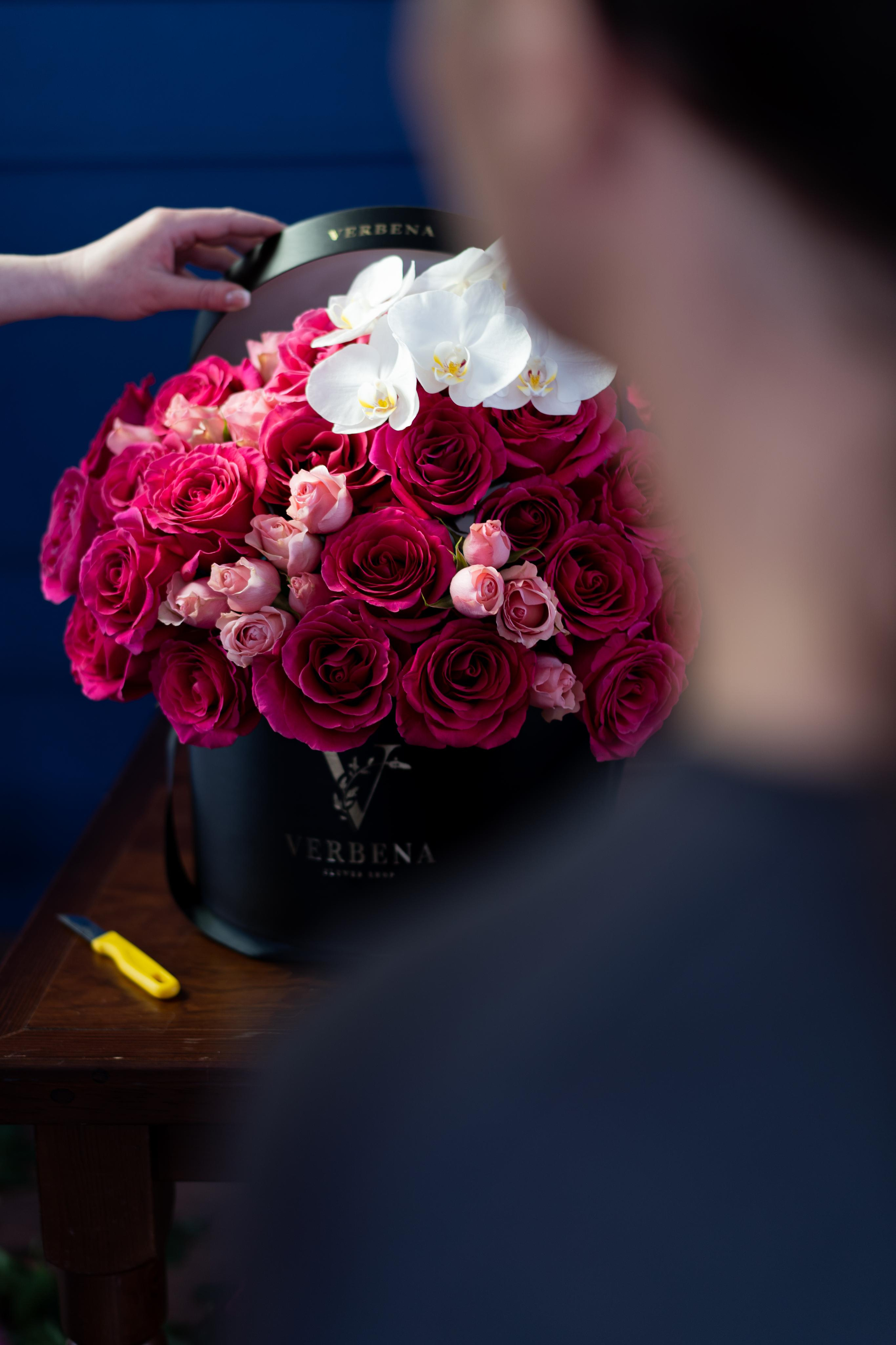 VERBENA flowers. Photographer & Videographer based in Ansan, South Korea