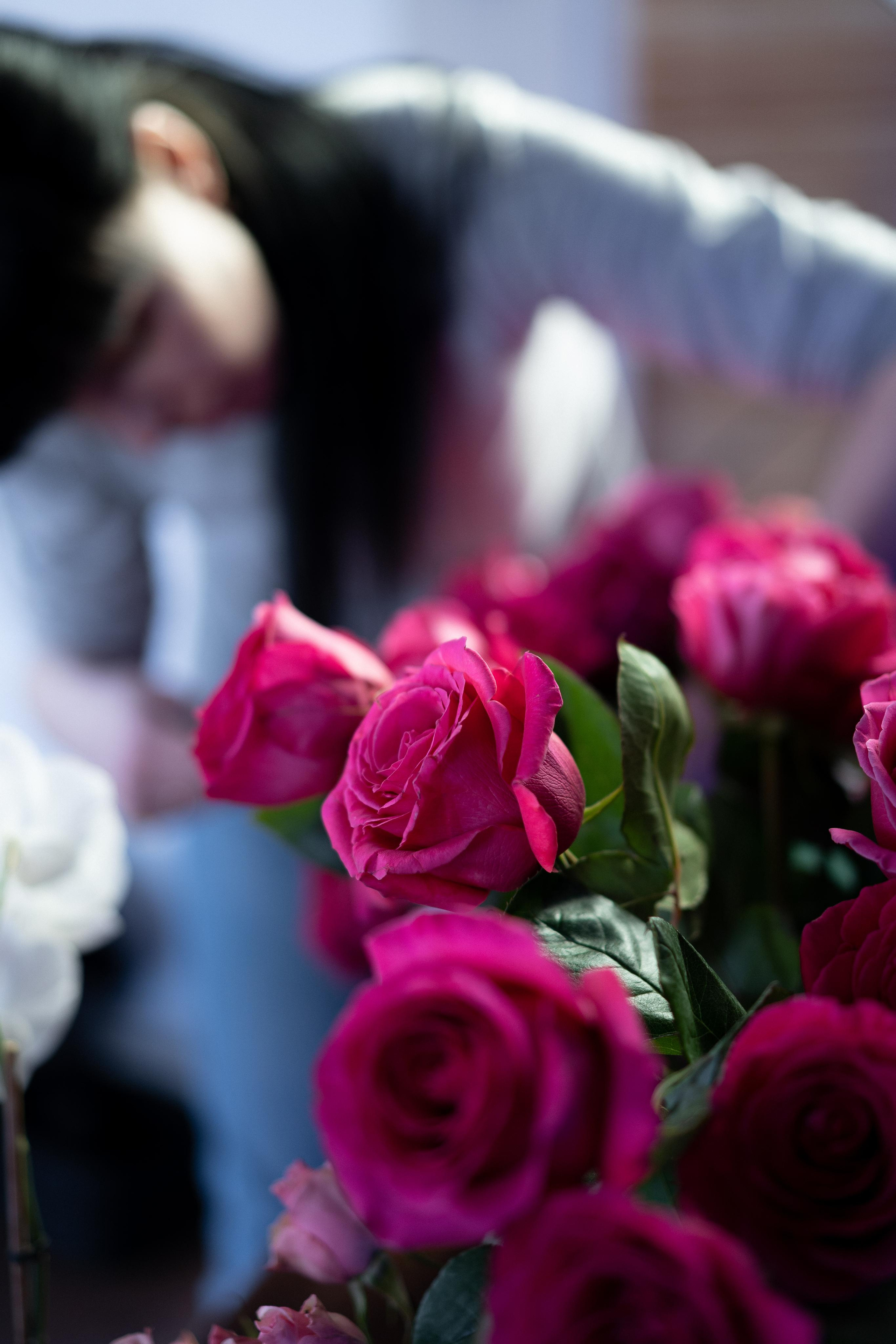 VERBENA flowers. Photographer & Videographer based in Ansan, South Korea