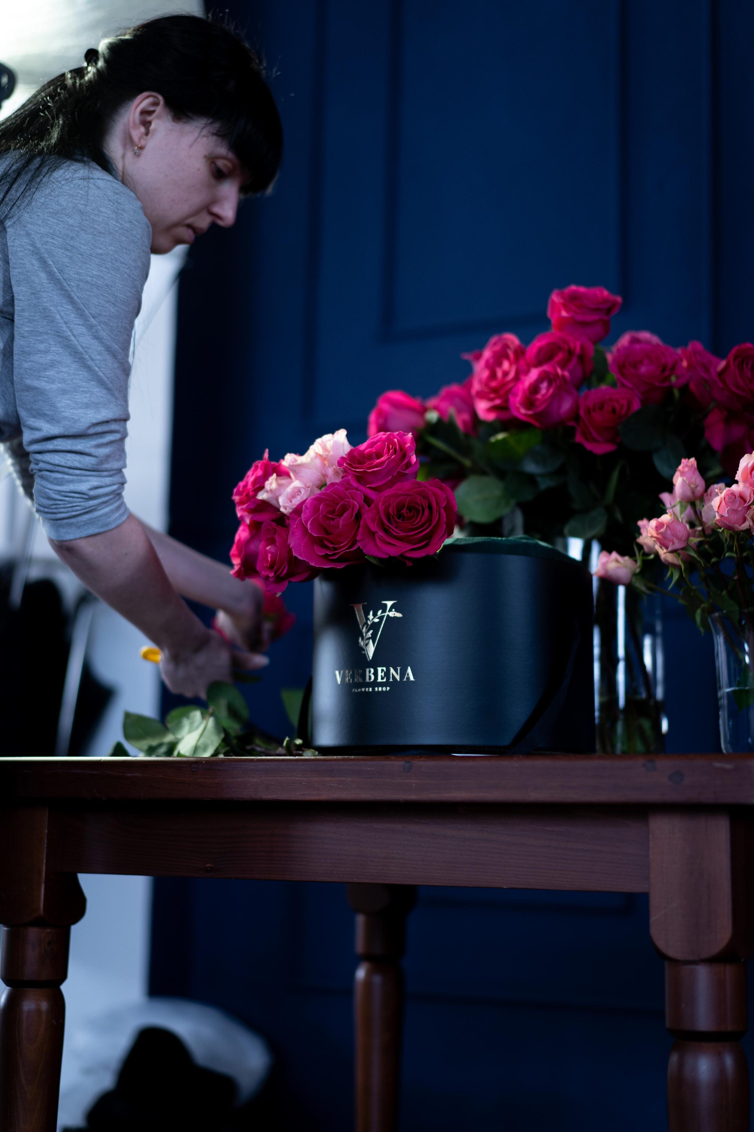 VERBENA flowers. Photographer & Videographer based in Ansan, South Korea