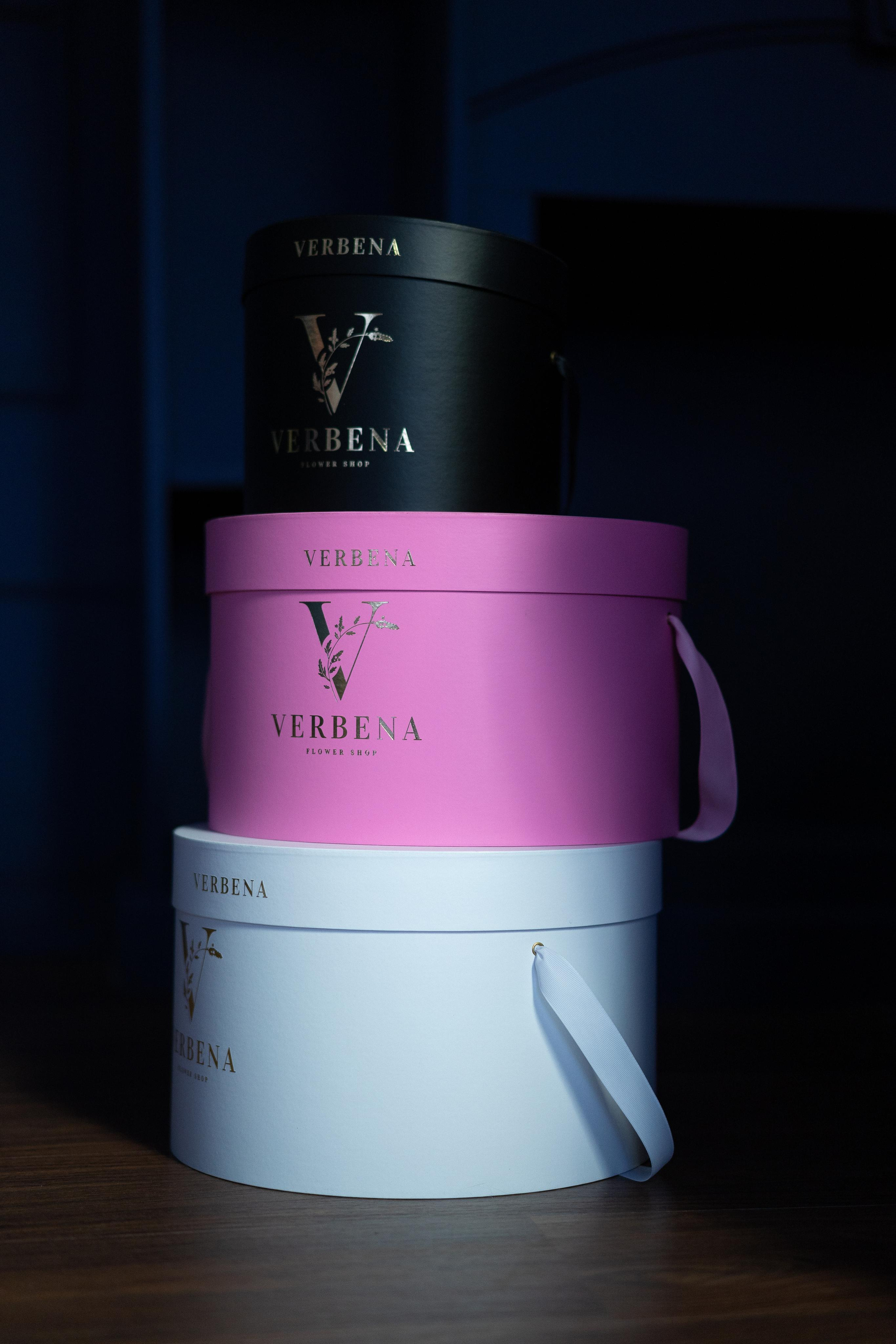 VERBENA flowers. Photographer & Videographer based in Ansan, South Korea