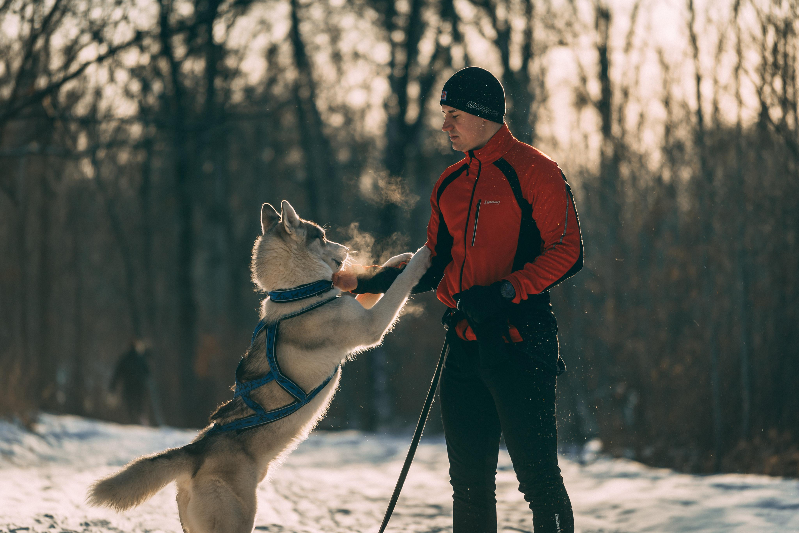 Bandit. Photographer & Videographer based in Ansan, South Korea