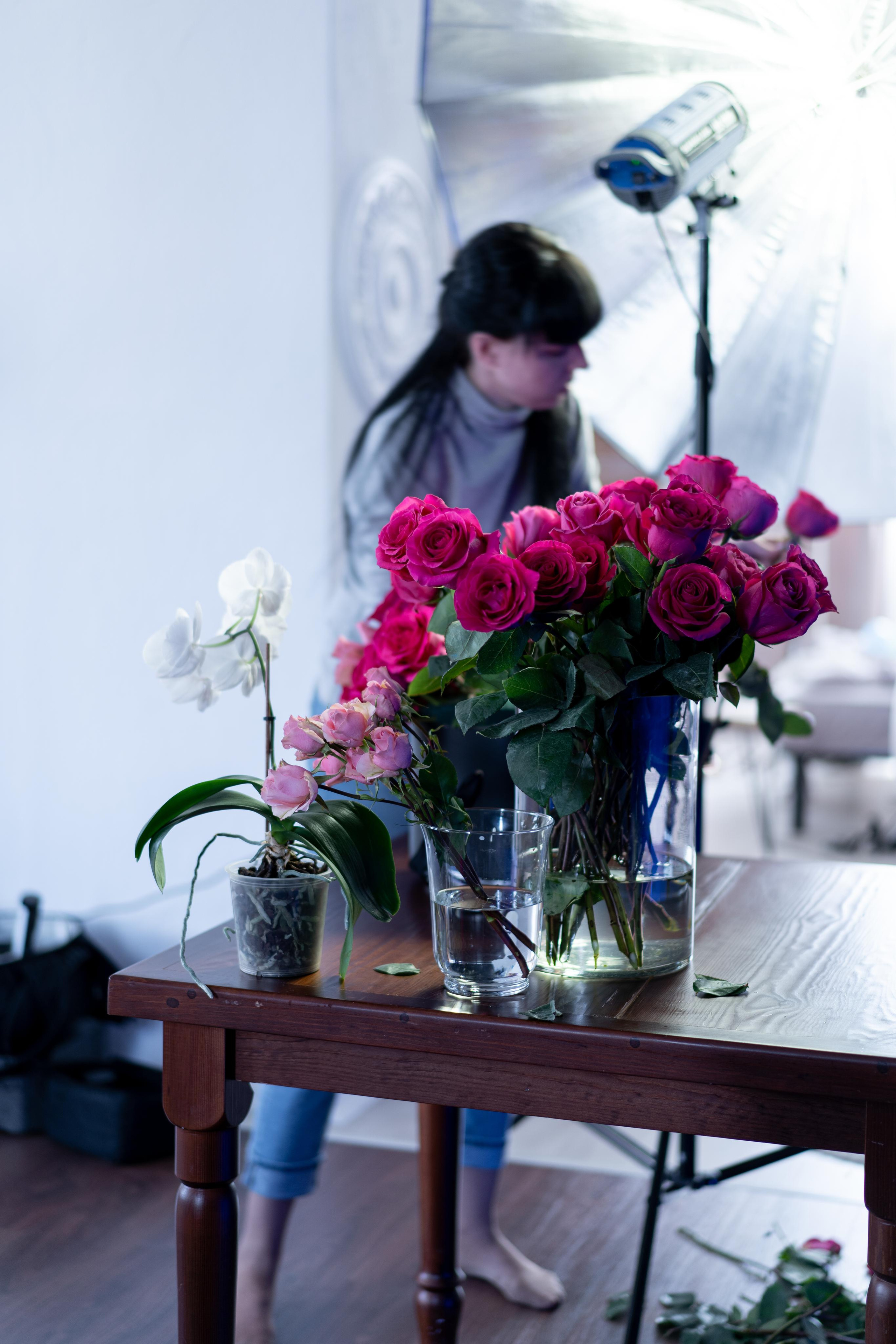 VERBENA flowers. Photographer & Videographer based in Ansan, South Korea