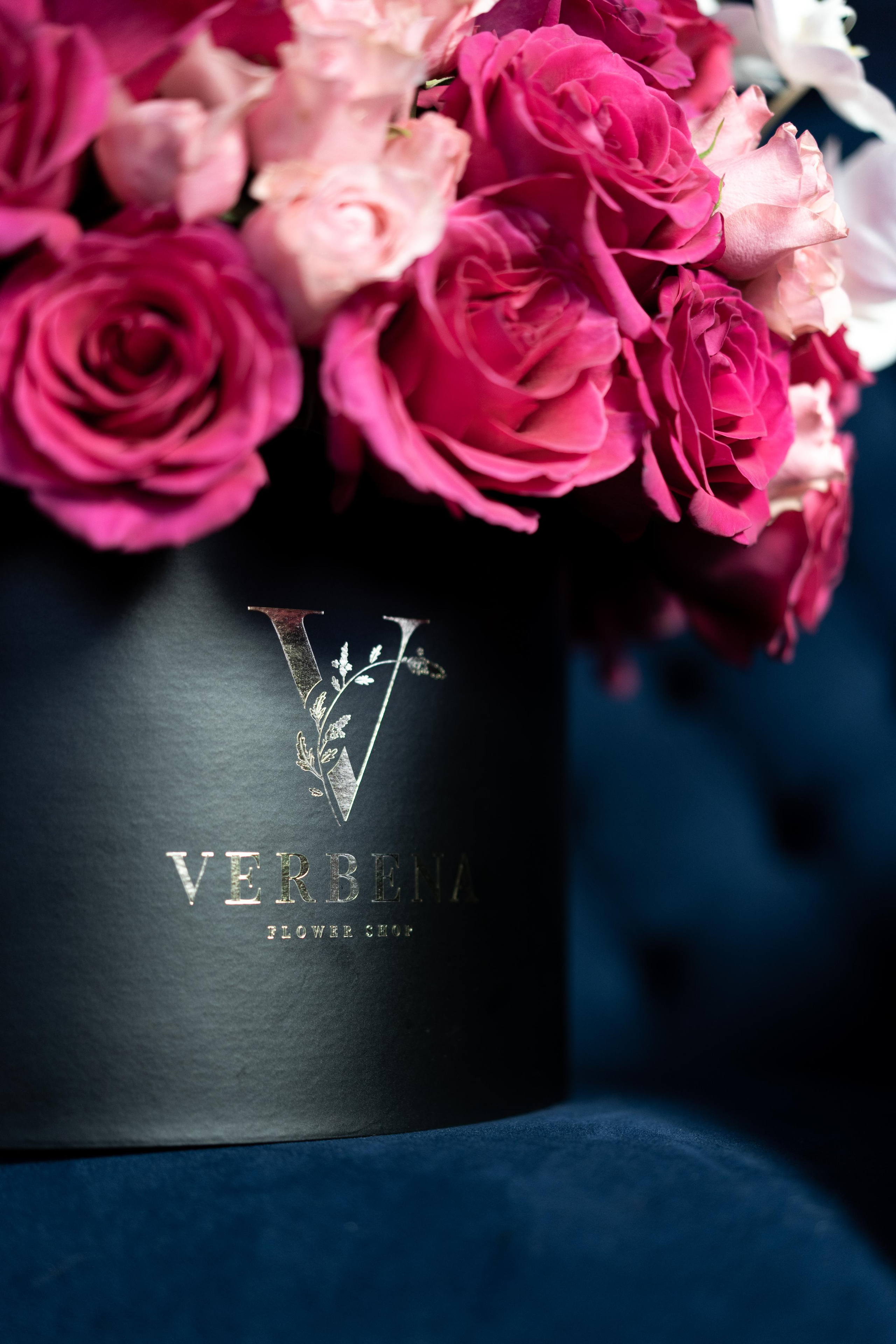 VERBENA flowers. Photographer & Videographer based in Ansan, South Korea