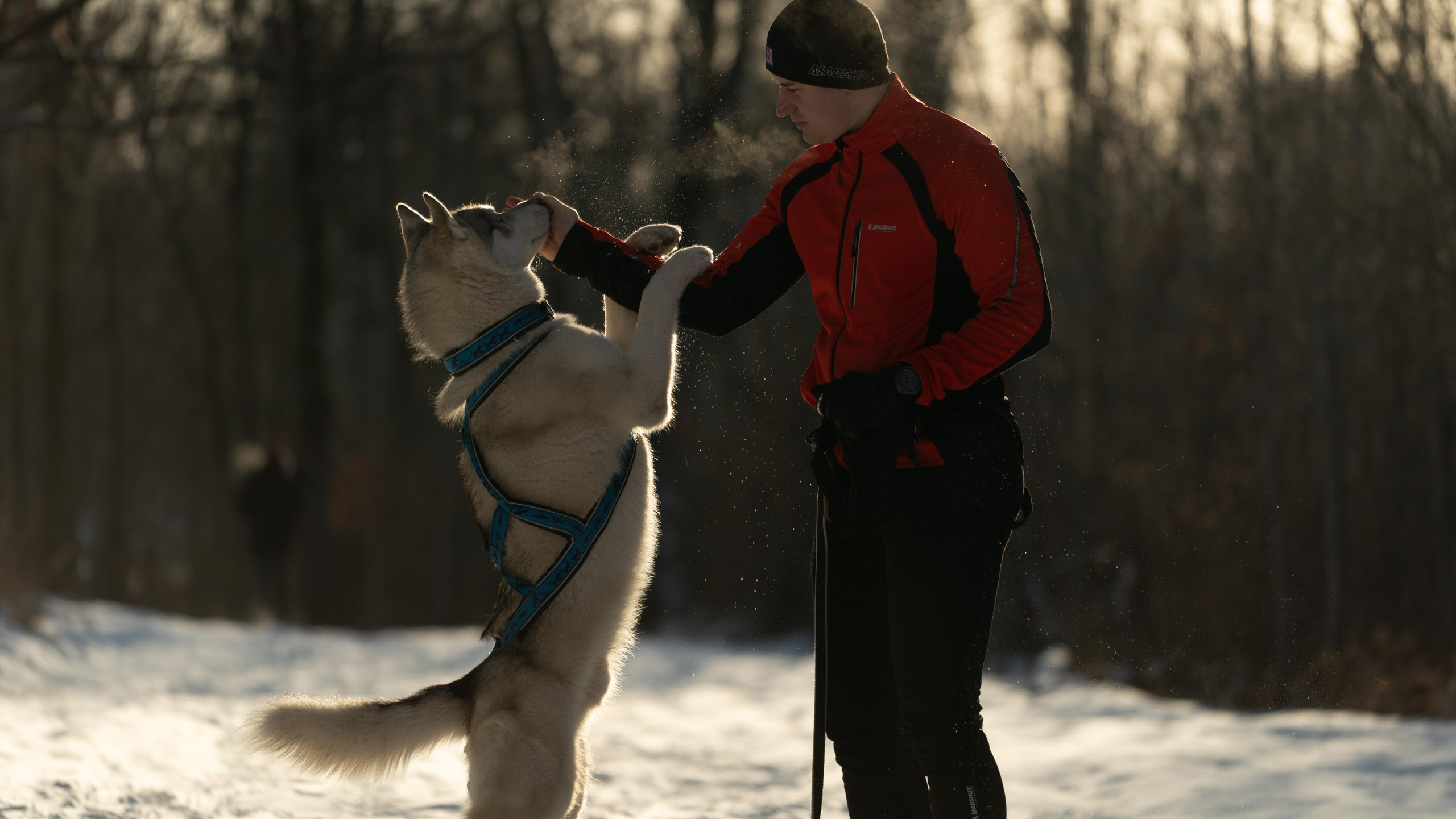 Bandit. Photographer & Videographer based in Ansan, South Korea