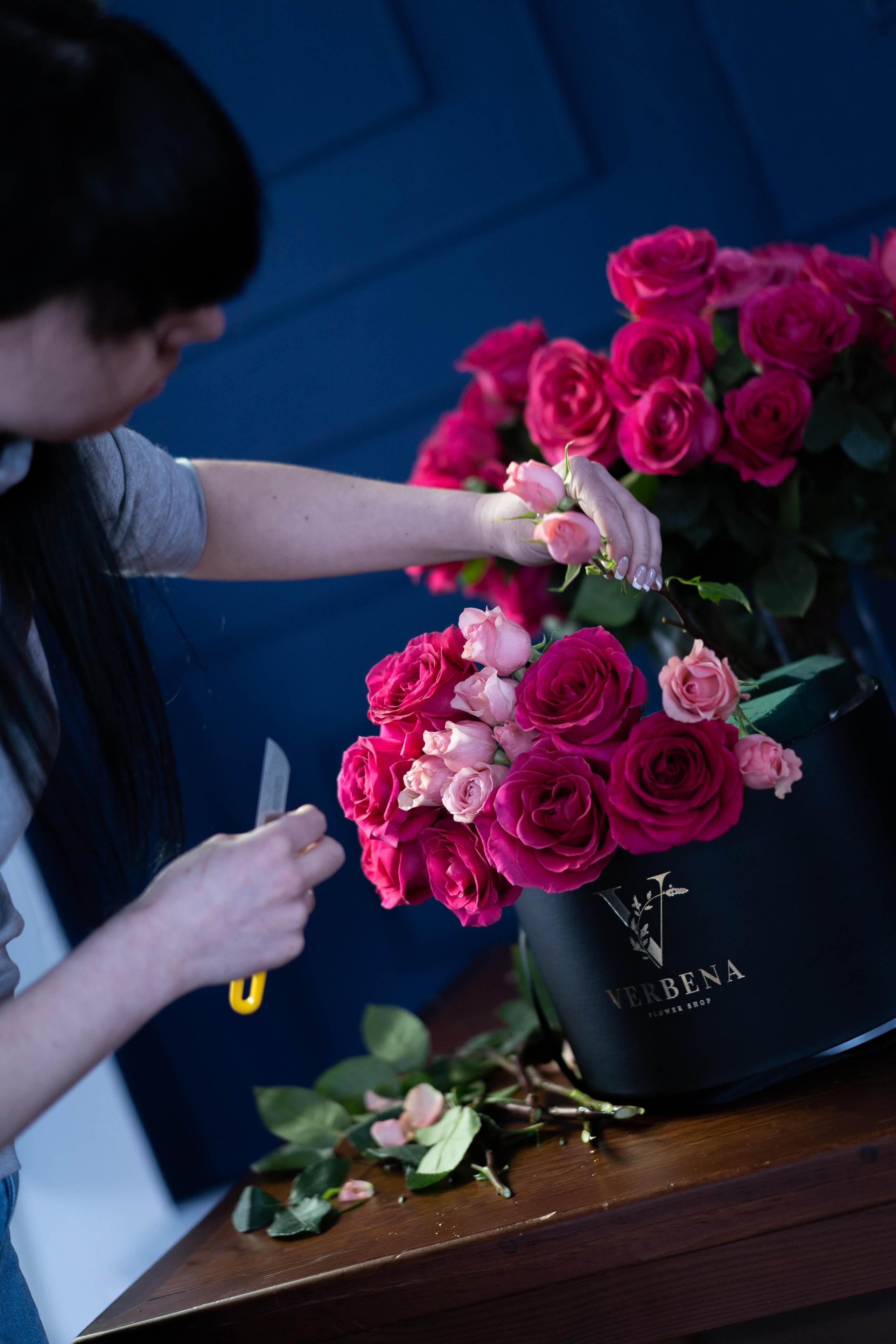 VERBENA flowers. Photographer & Videographer based in Ansan, South Korea