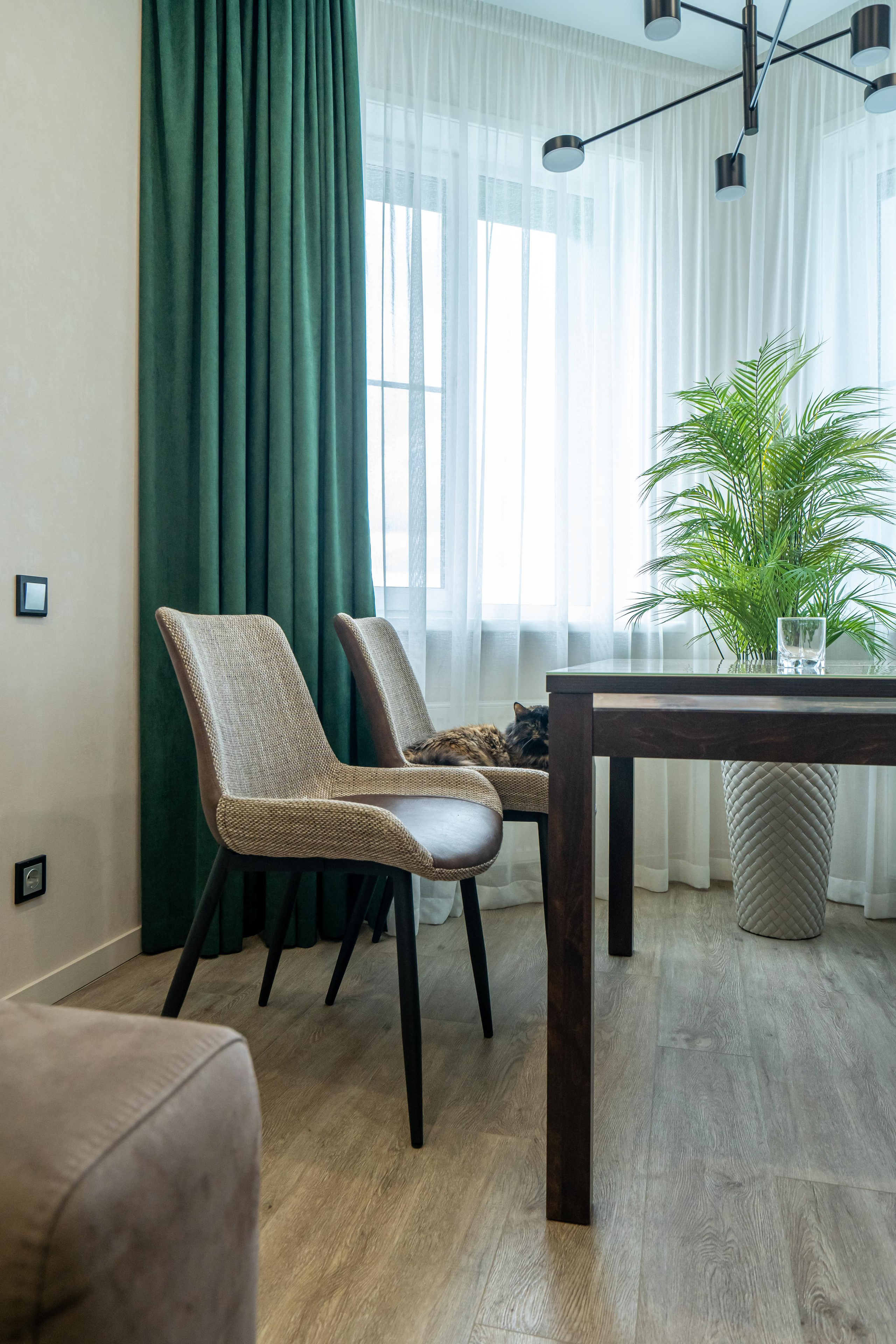 Rudenko flat. Photographer & Videographer based in Ansan, South Korea