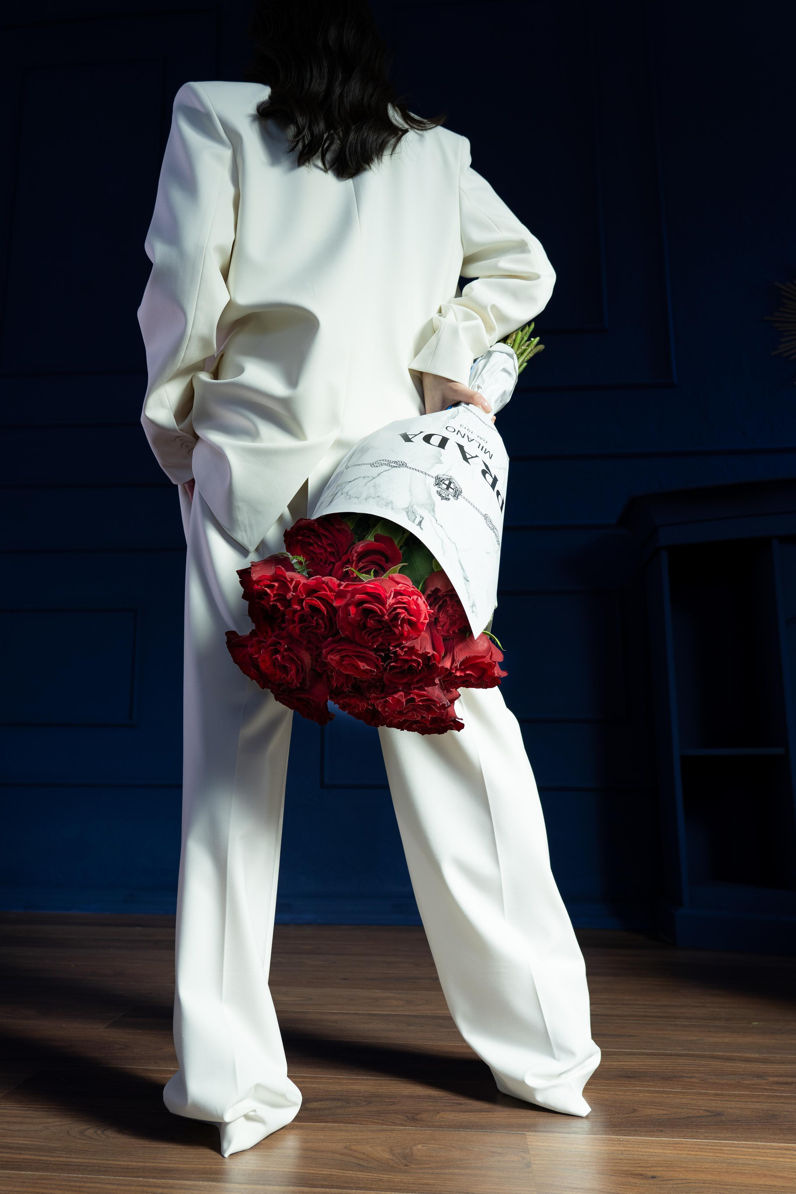 VERBENA flowers. Photographer & Videographer based in Ansan, South Korea