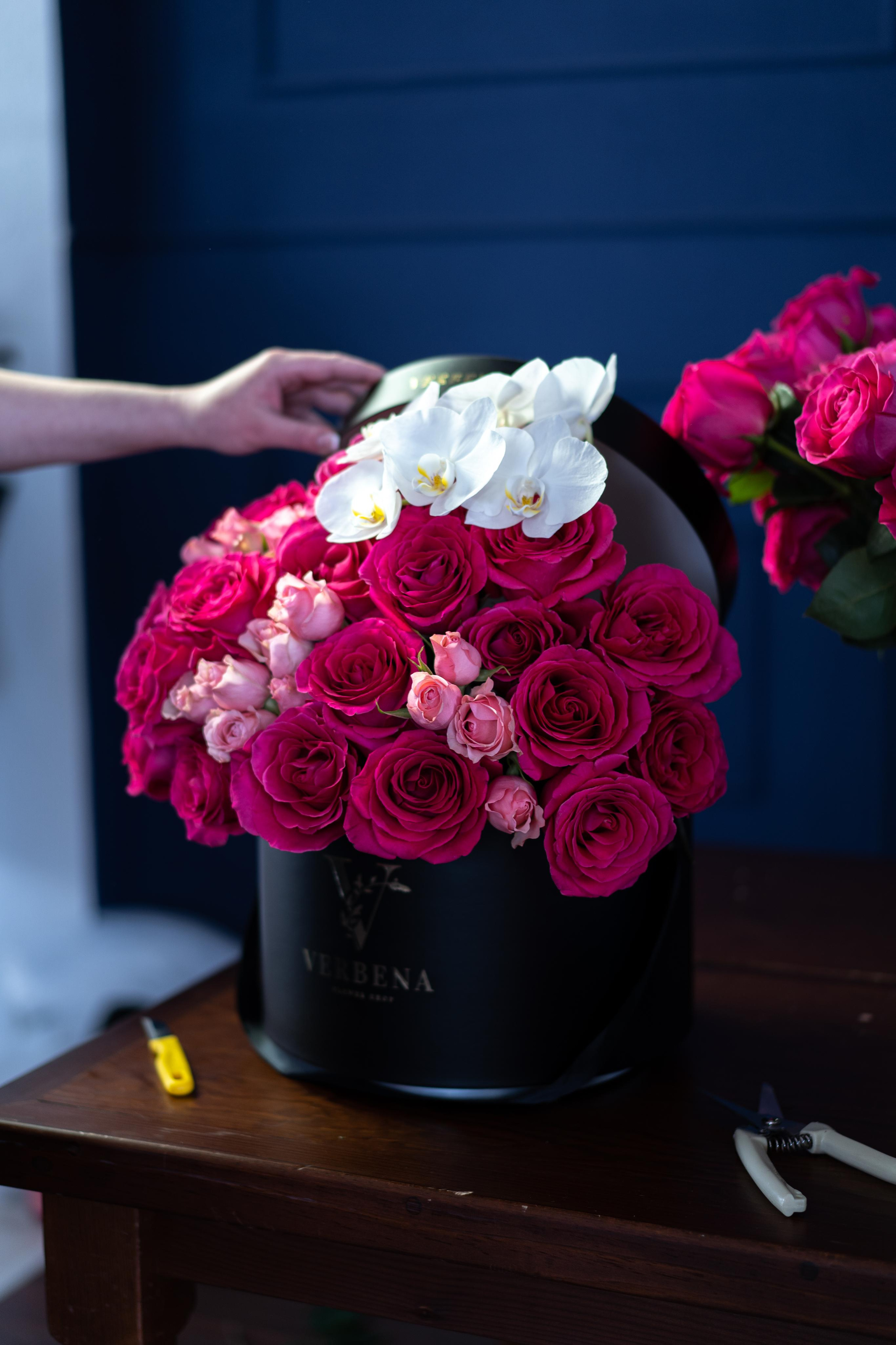 VERBENA flowers. Photographer & Videographer based in Ansan, South Korea