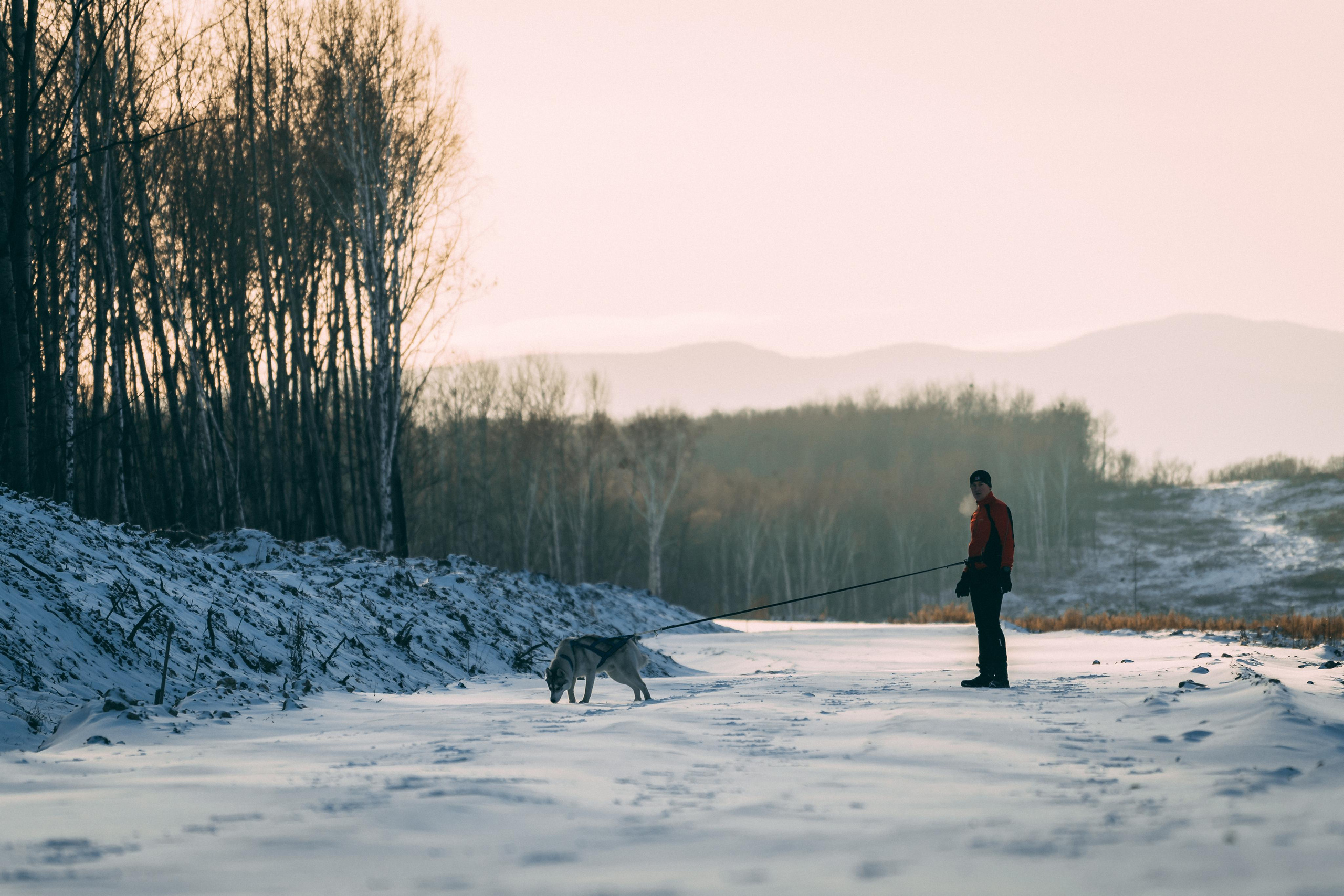 Bandit. Photographer & Videographer based in Ansan, South Korea