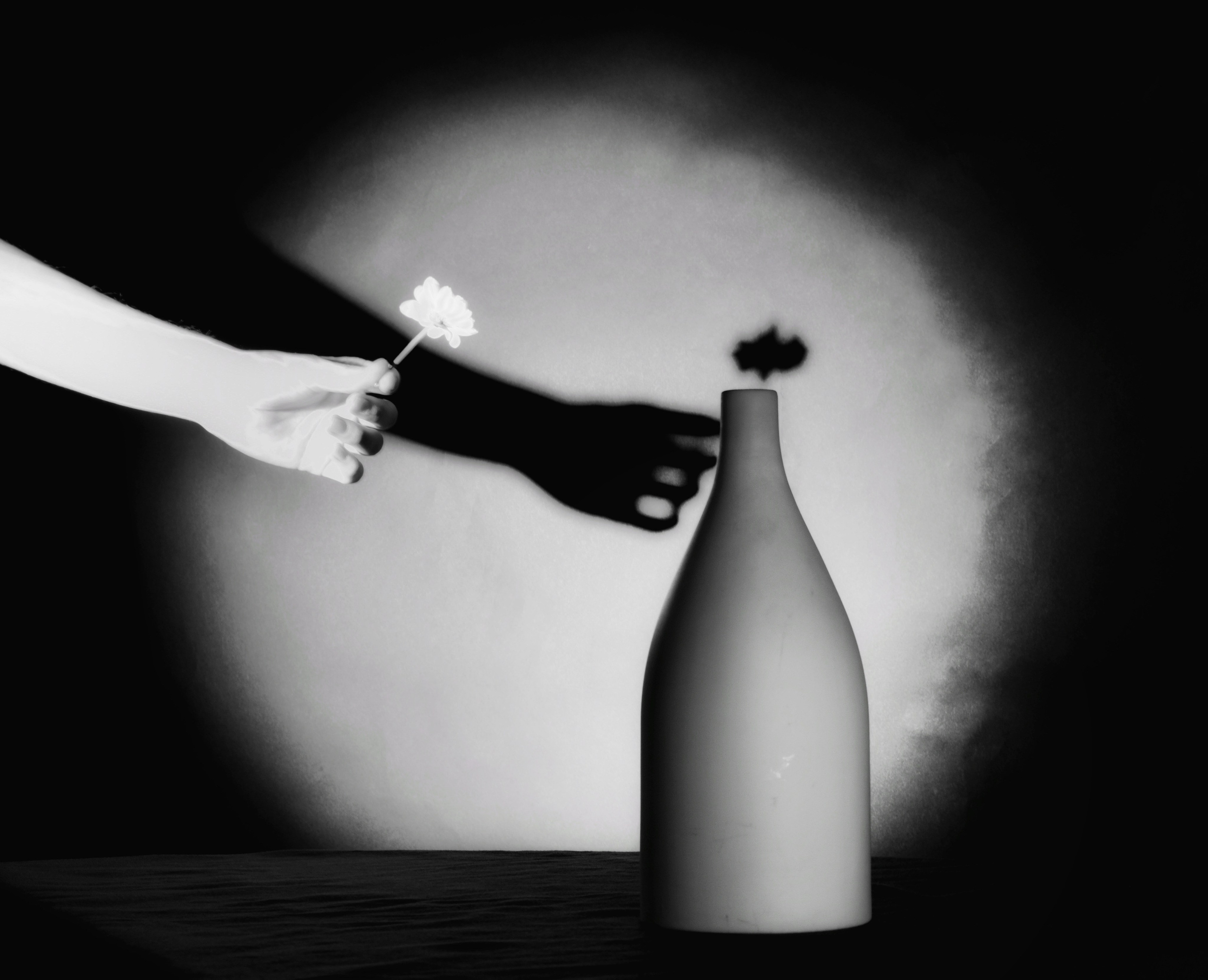 Портфолио. Фотограф в Москве