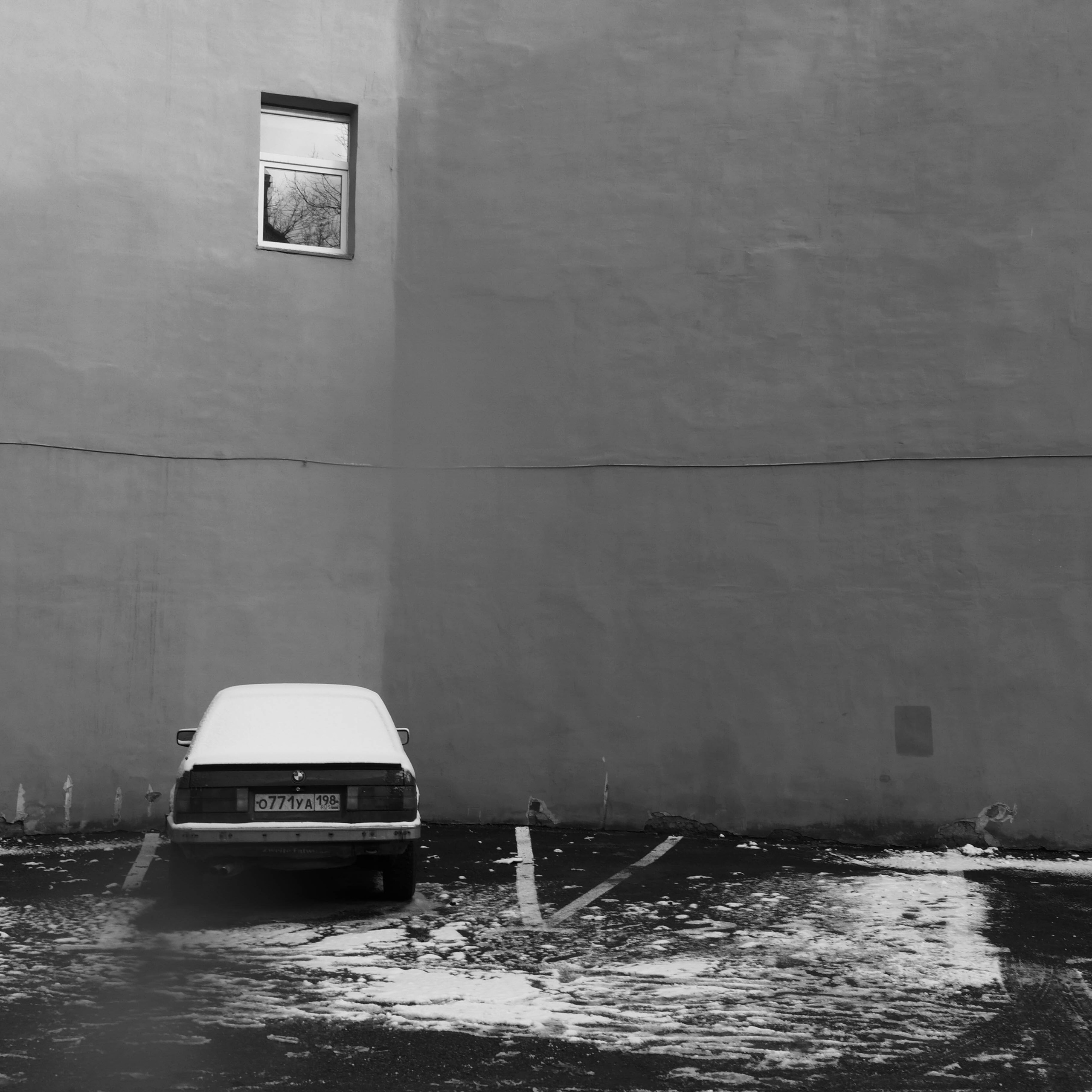 03 14. Shyjungle's Portfolio