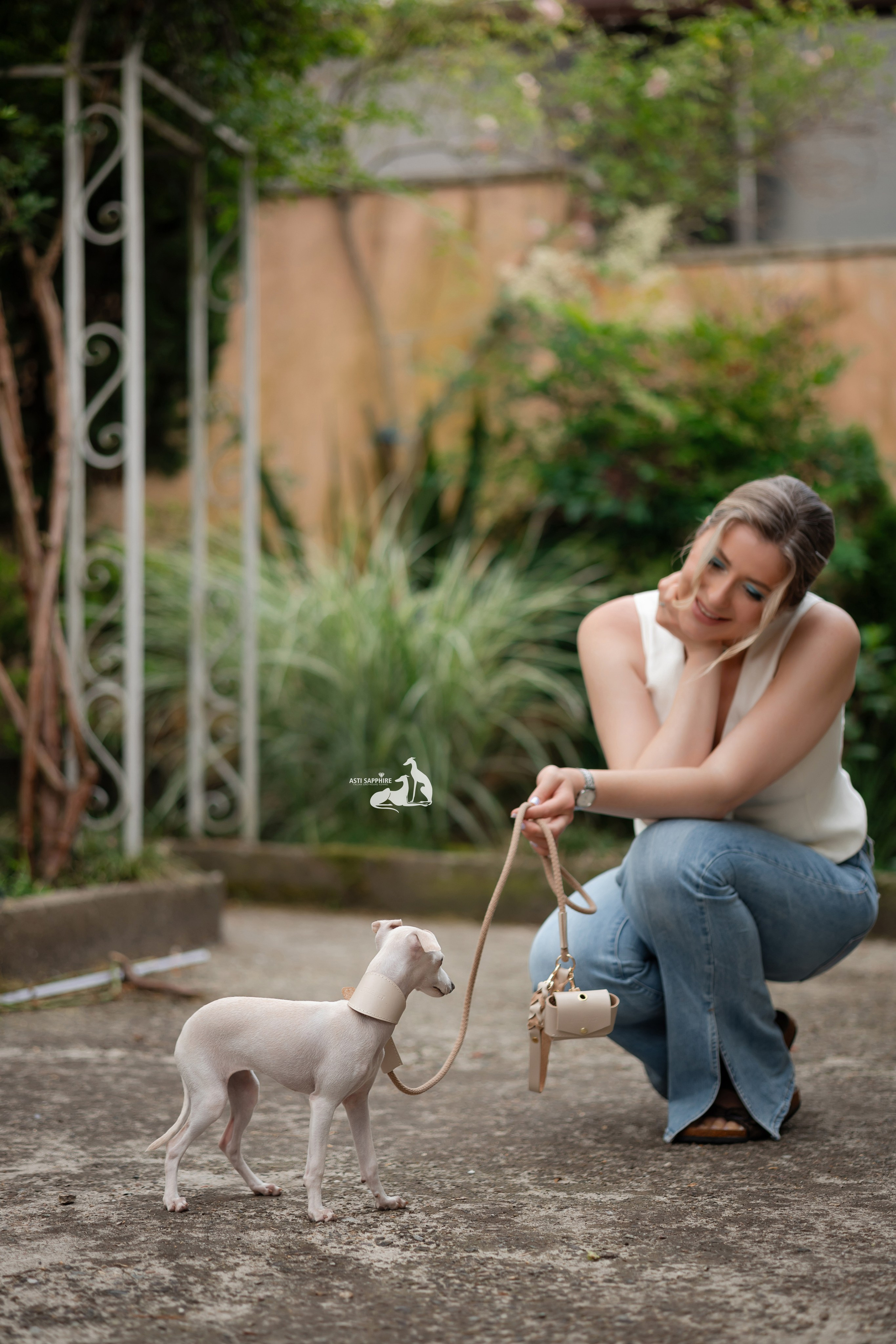 Чудесная шоу-девочка. Professional Italian Greyhound Kennel RKF/FCI ASTI SAPPHIRE 💎 Sochi|St. Petersburg