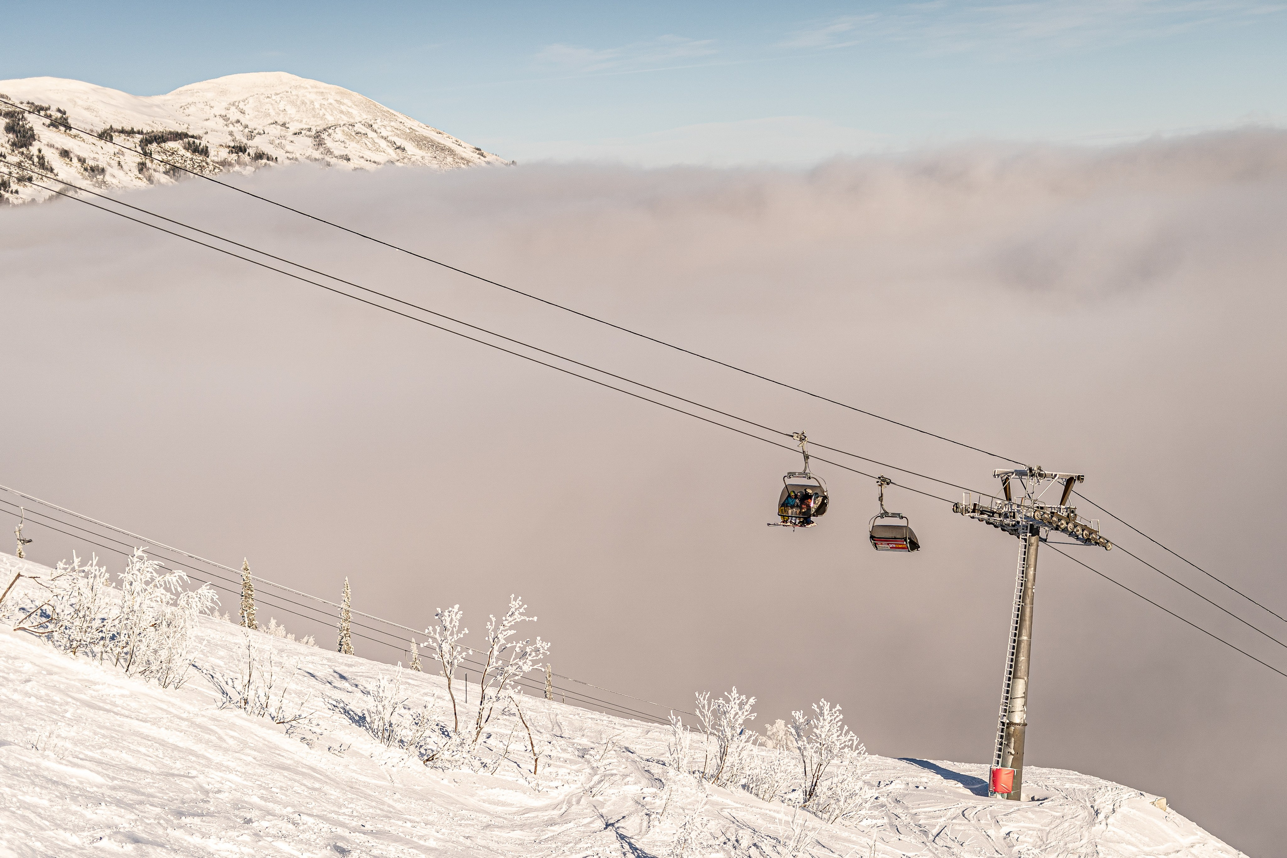 Джой 6.12. Анастасия Паршукова — фотограф Шерегеш Новосибирск