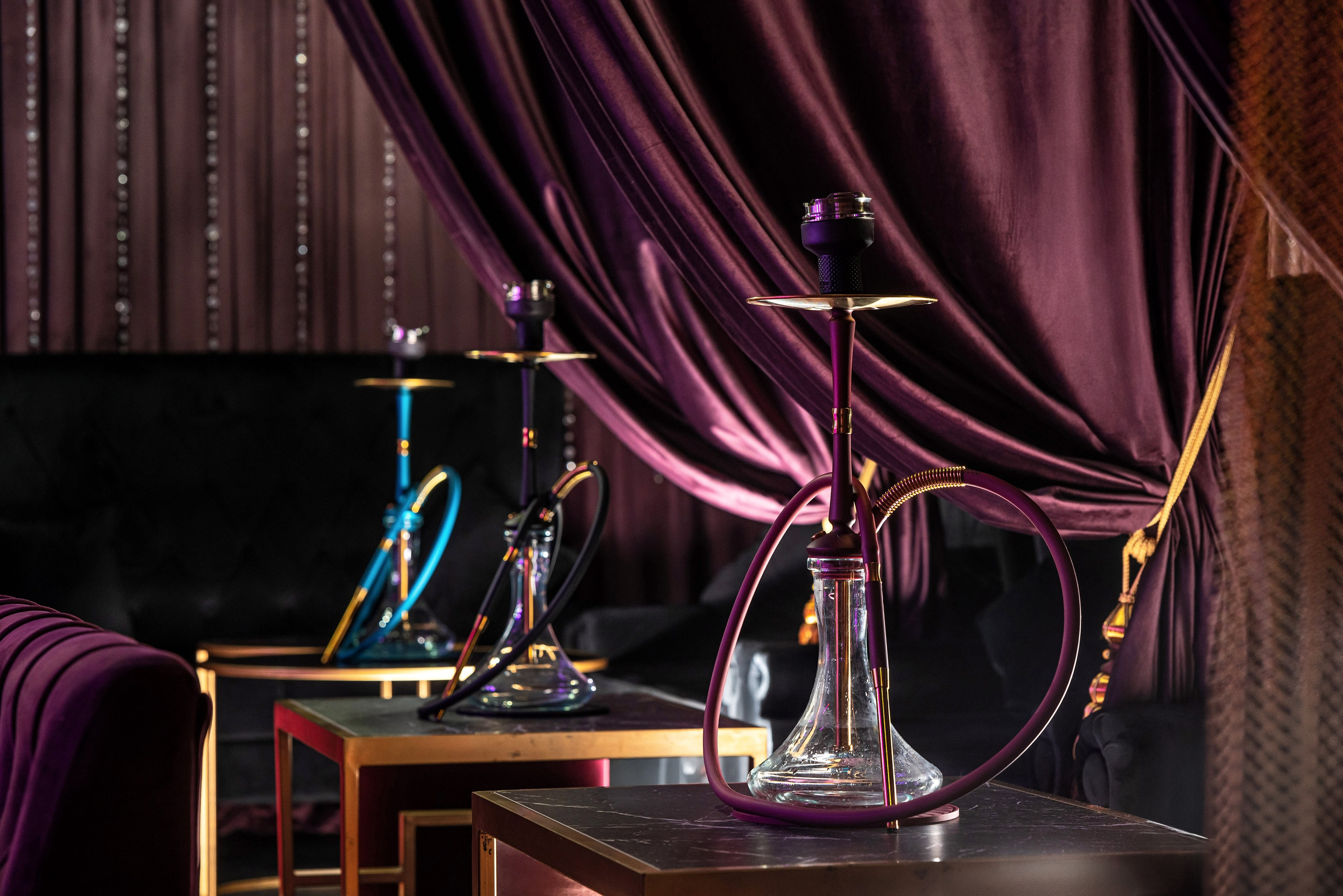 12012026. Фотограф Сочи