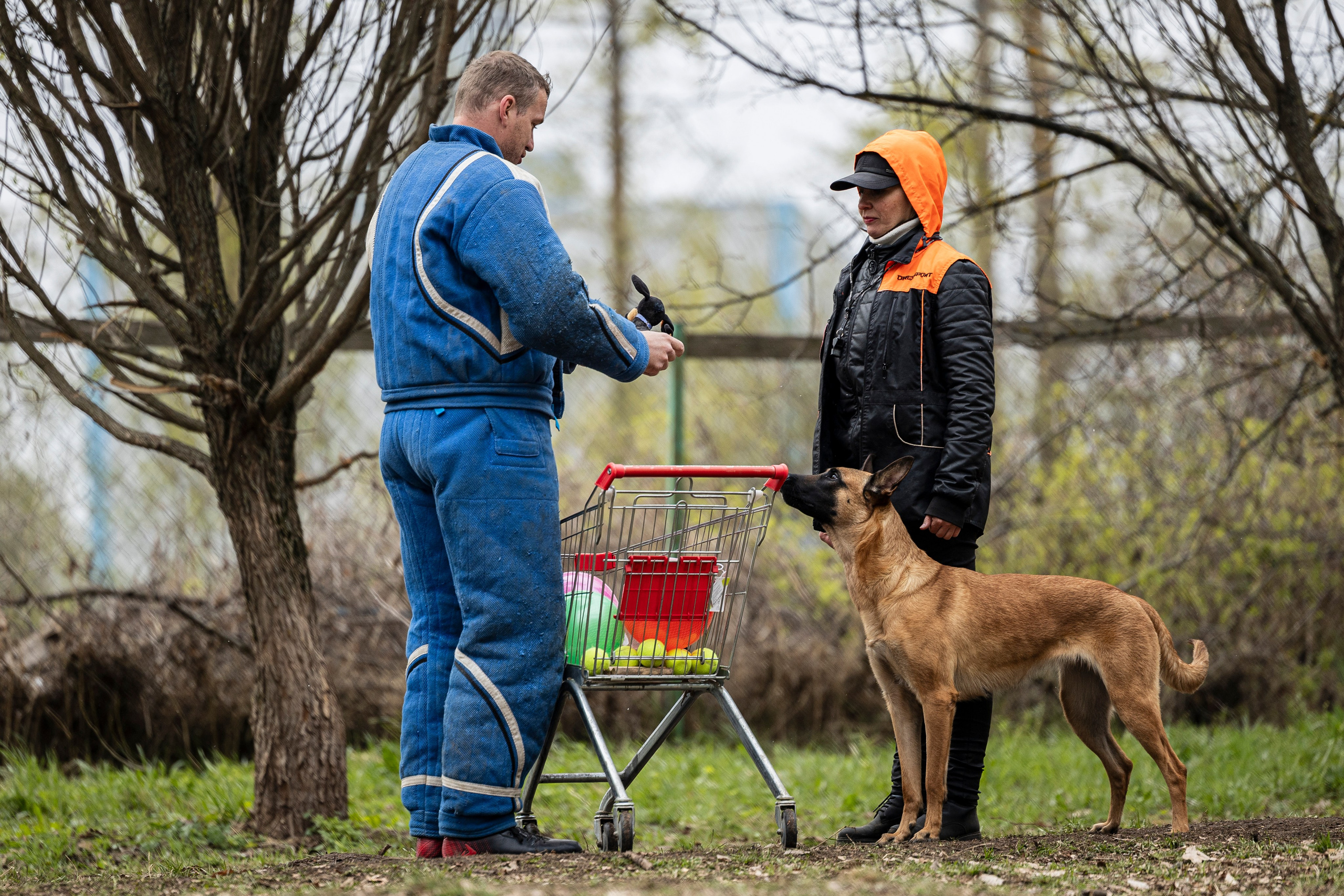 Квалификационные состязания по мондьорингу г. Вологда 11.05.24. Фотограф-анималист Анна Маринич