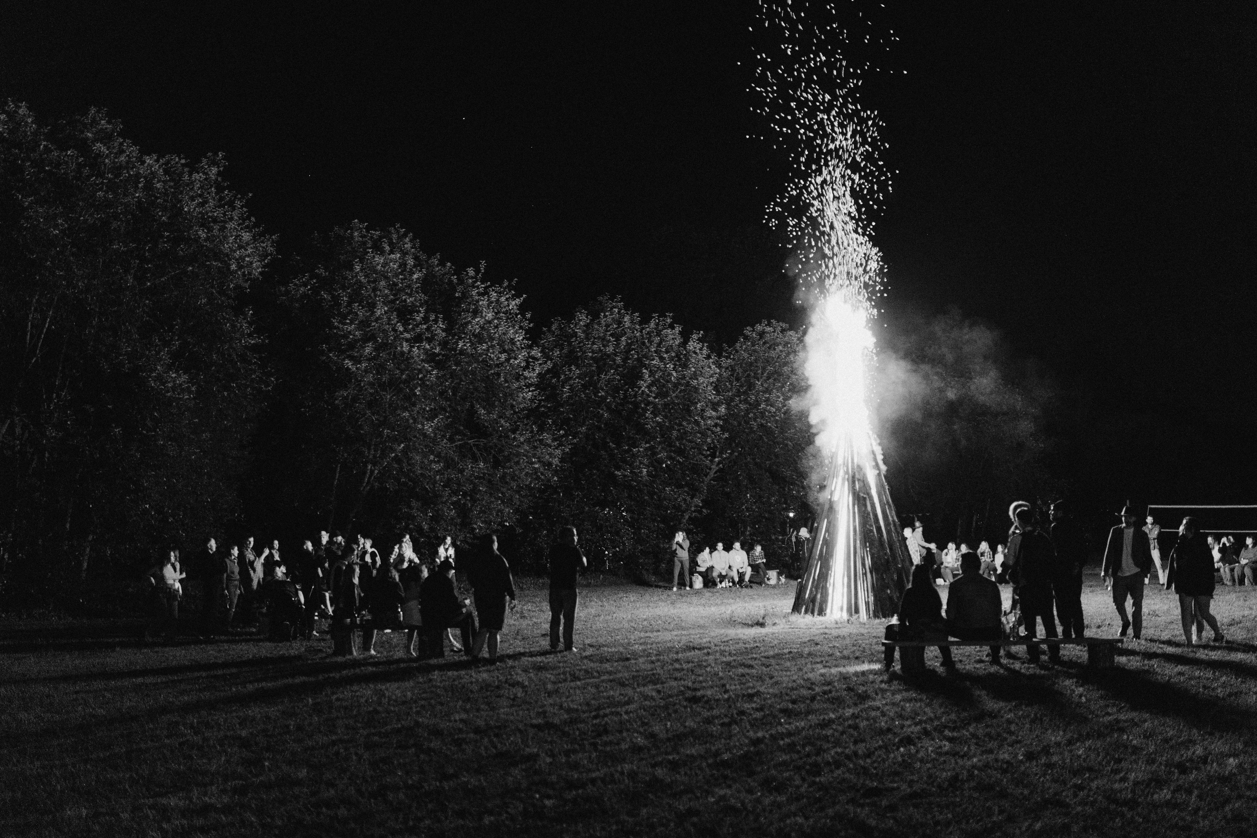 Репортажи. Лента